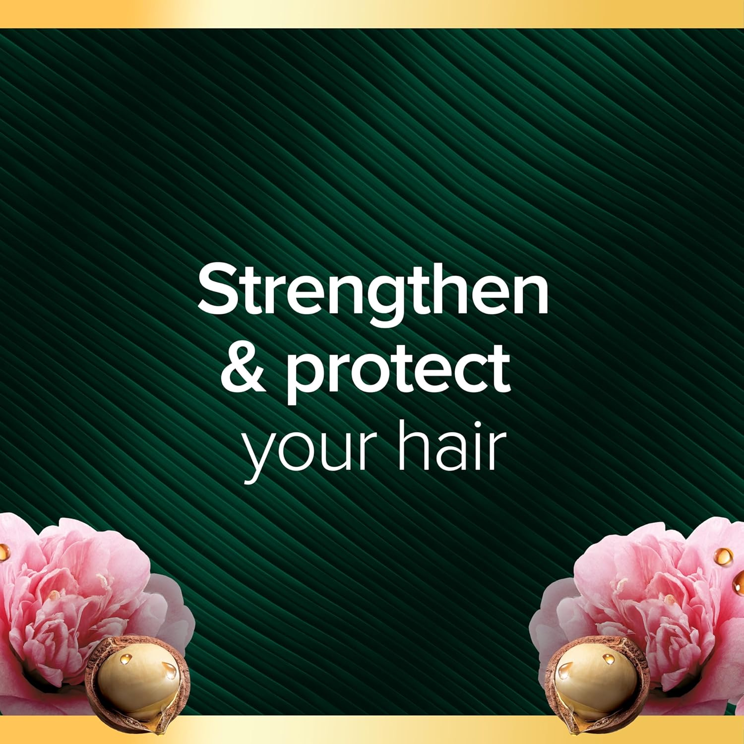 Palmolive Luminous Oils Hair Shampoo, Northern Rivers Macadamia, Argan Oil & Camellia, 350Ml, Strengthen and Protect image number 2