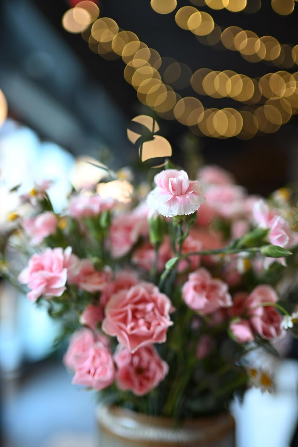 Nikon NIKKOR Z 35Mm F/1.4 [AU Version] image number 5