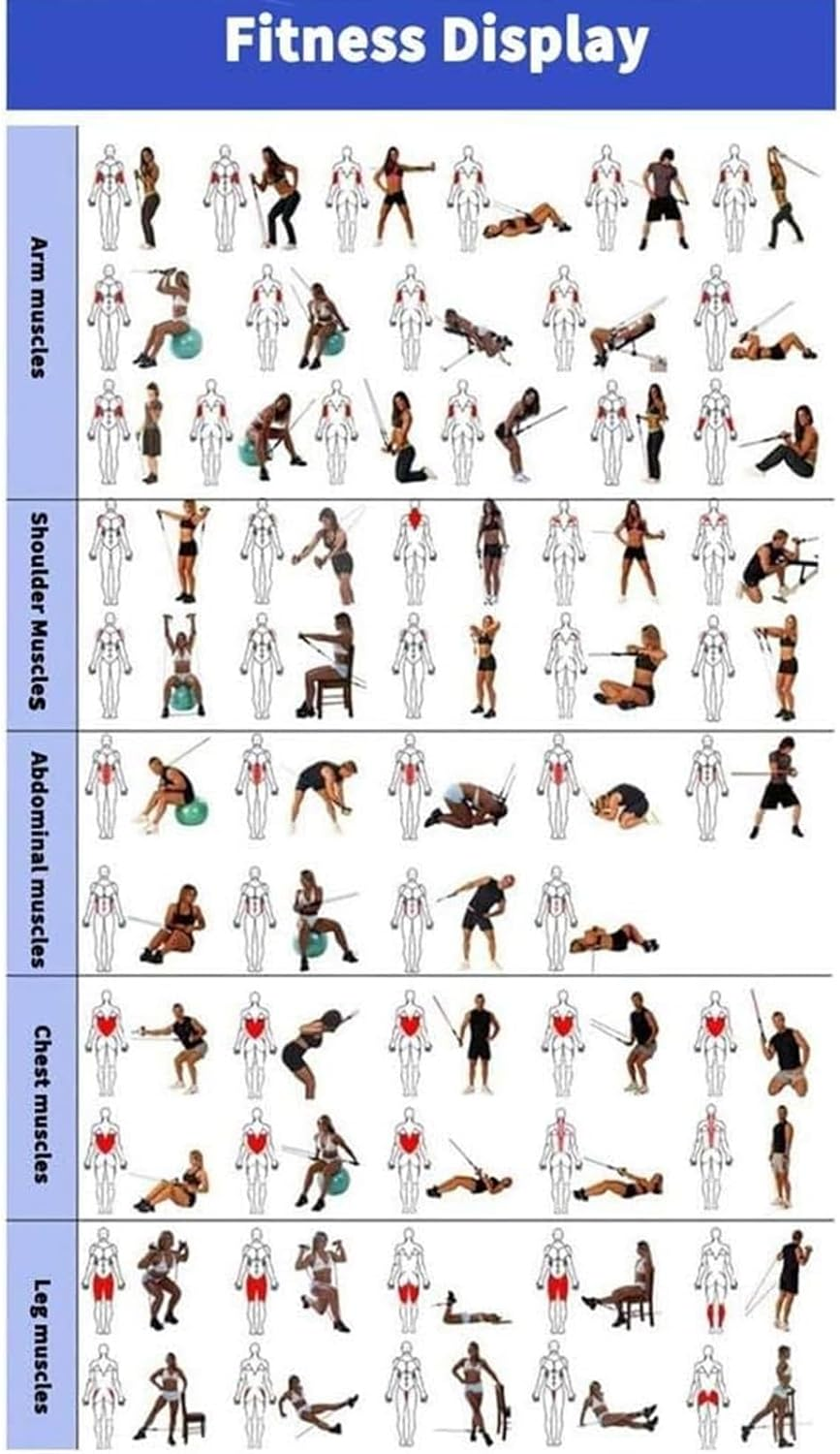 Annuoyi Exercise Resistance Bands，Resistance Bands Set，Polygon Resistance Bands with Latex Handles,For Esistance Training、 Physical Therapy、Home Workouts image number 2