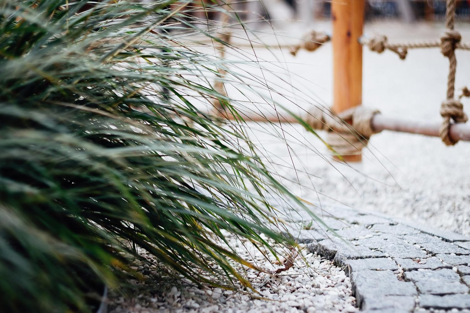 Abio Cotton Rope 26 Mm 5 M White Rope Cord Macrame Yarn Rope Cotton Cord Rope Boho Decorative Cotton Cord Decoration Garden Balcony House Rope Cotton 26 Mm 5 M