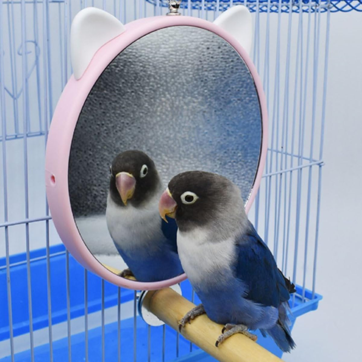 Bird Hanging Parrot Mirror for Cage, 1Pc Parrot Mirror Hanging Mirror,Small Bird Mirror Hanging Bird Cage Mirror,Hanging Bird Cage Parrot Mirror,Hanging Bird Cage Interactive Parrot Mirror Bird Mirror image number 5
