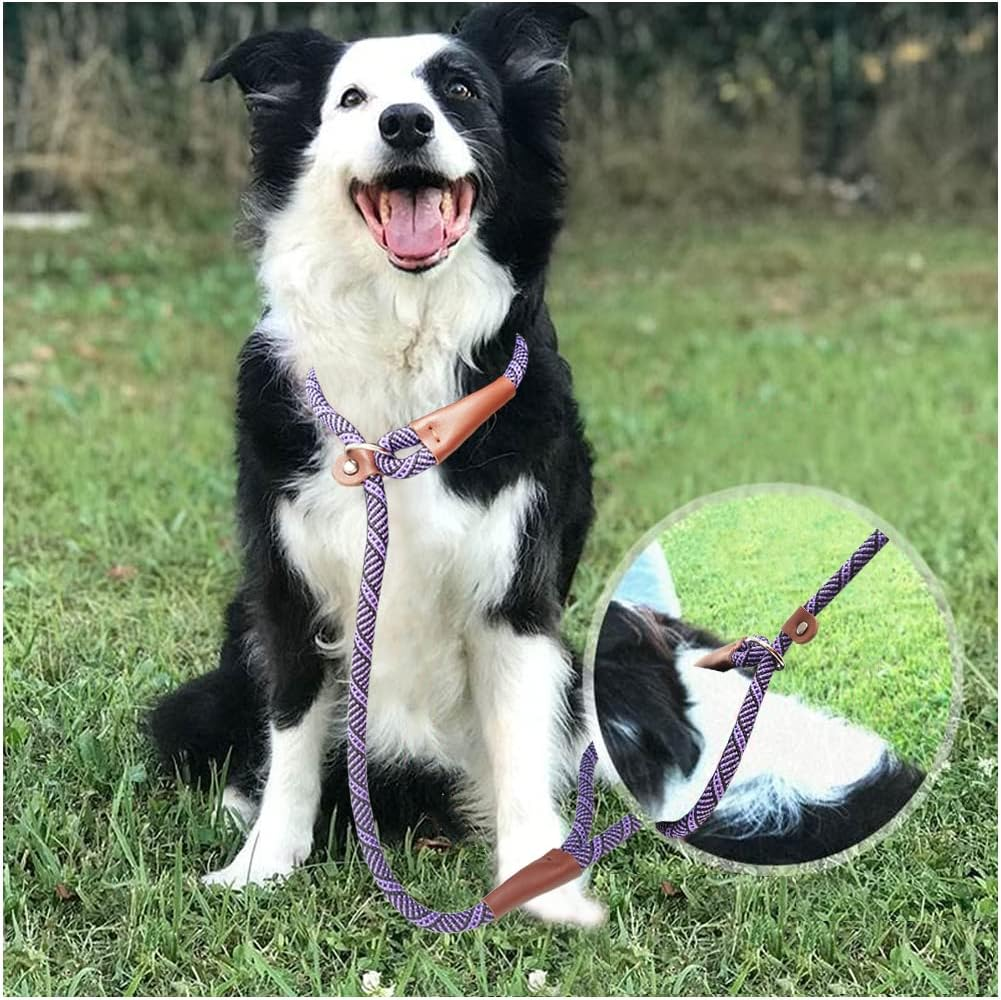 SEPXUFORE 3 FT Slip Lead Dog Leash, 1/2 Inch Rope Dog Walking and Training Lead, No Pull Strong Nylon Leash Great for Medium and Large (Red) - Blue image number 2