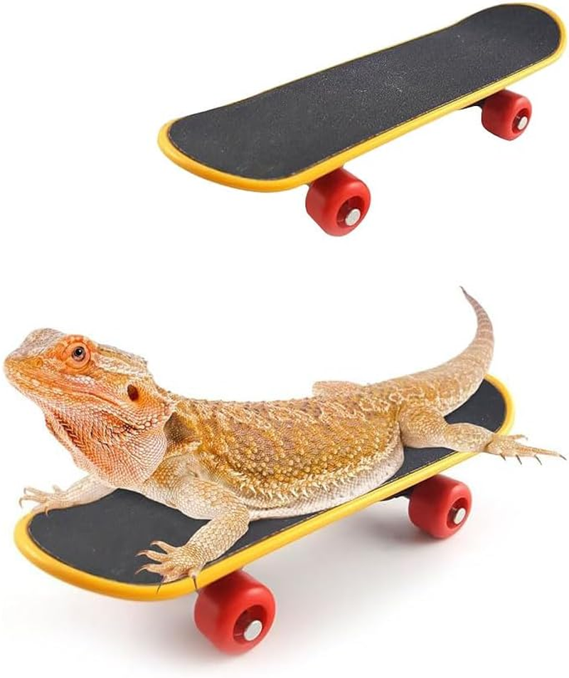 1 Pcs Turtle Toy Mini Skateboard Scooter Accessory,For Bearded Dragon Parrot Reptile Small Animals (Large) image number 6