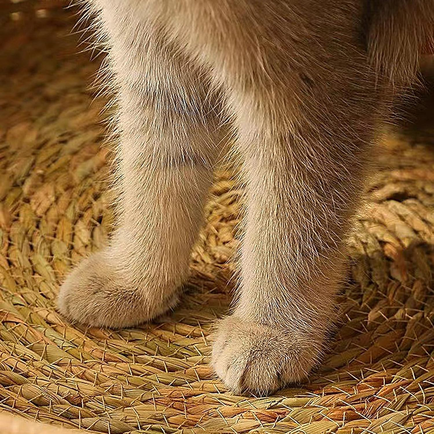 Cat Basket Bed - Woven Cat Bed Basket with Cushion and Pillow - All Season Weaving Pet Sleeping Resting Scratching Furniture for Puppy Dog Kitten image number 4