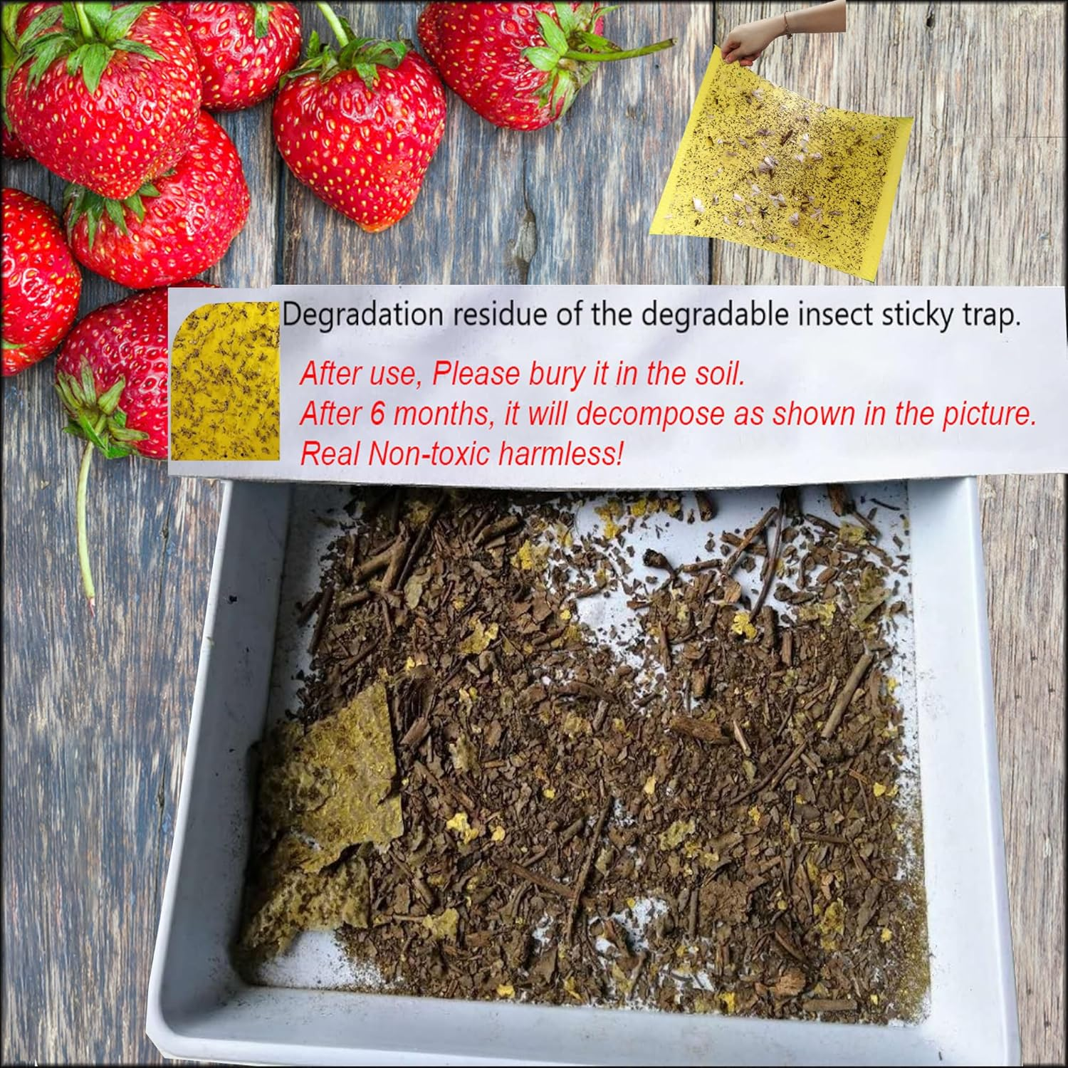 20-Pcs (25 * 20Cm) Fruit Insect Fly Traps, Increase Fertilizer, Insect Sticky Trap for In/Outdoor, Greenhouse Vegetables, Lawn, Garden, Farm, Home, Horticulture & Agriculture, Orchard Fields (Green) image number 6