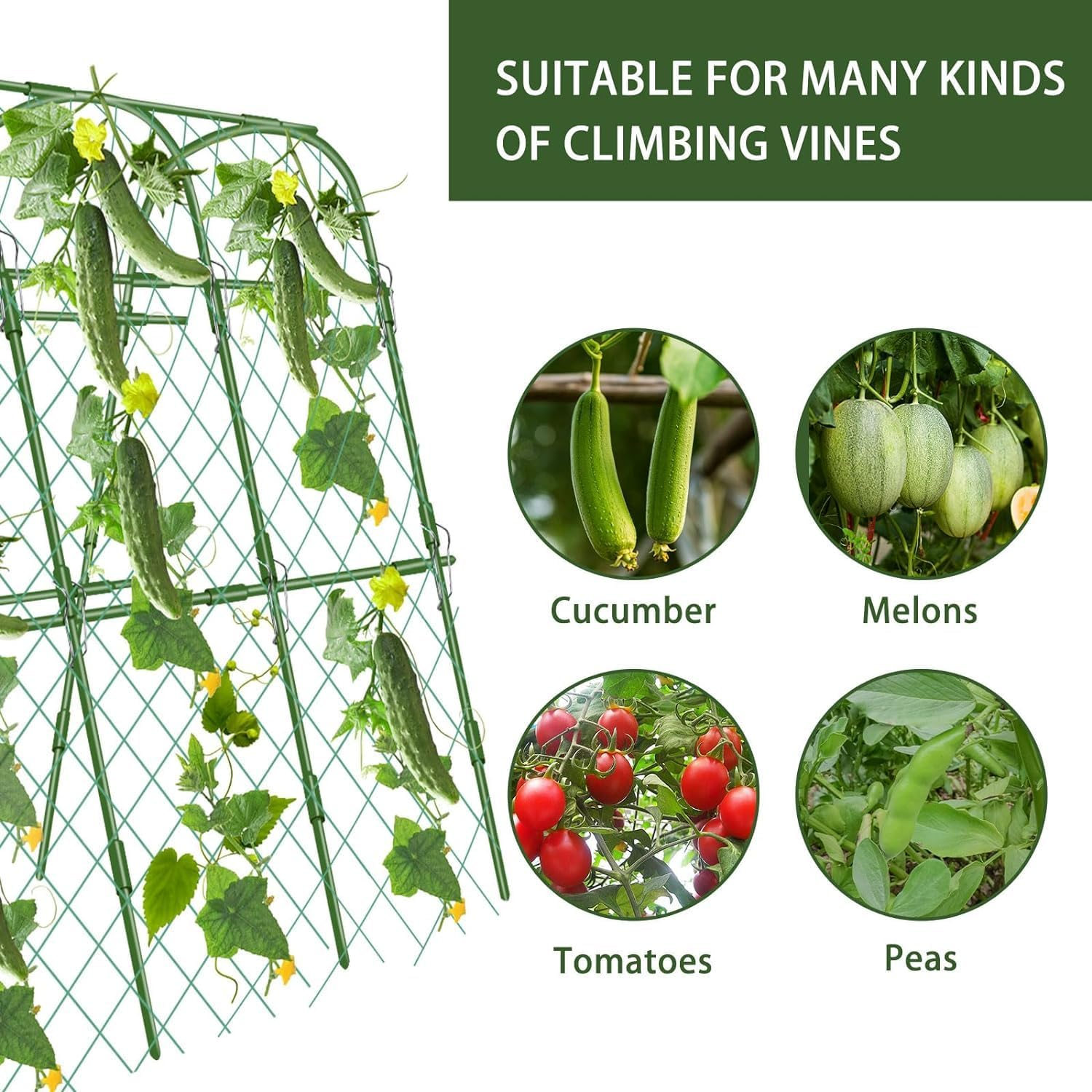 Cucumber Trellis for Garden, 63&Prime; X 45&Prime; U-Shaped Garden Trellis for Climbing Plants Outdoors with Climbing Net, Metal Detachable Arch Plant Support Vegetable Trellis image number 1