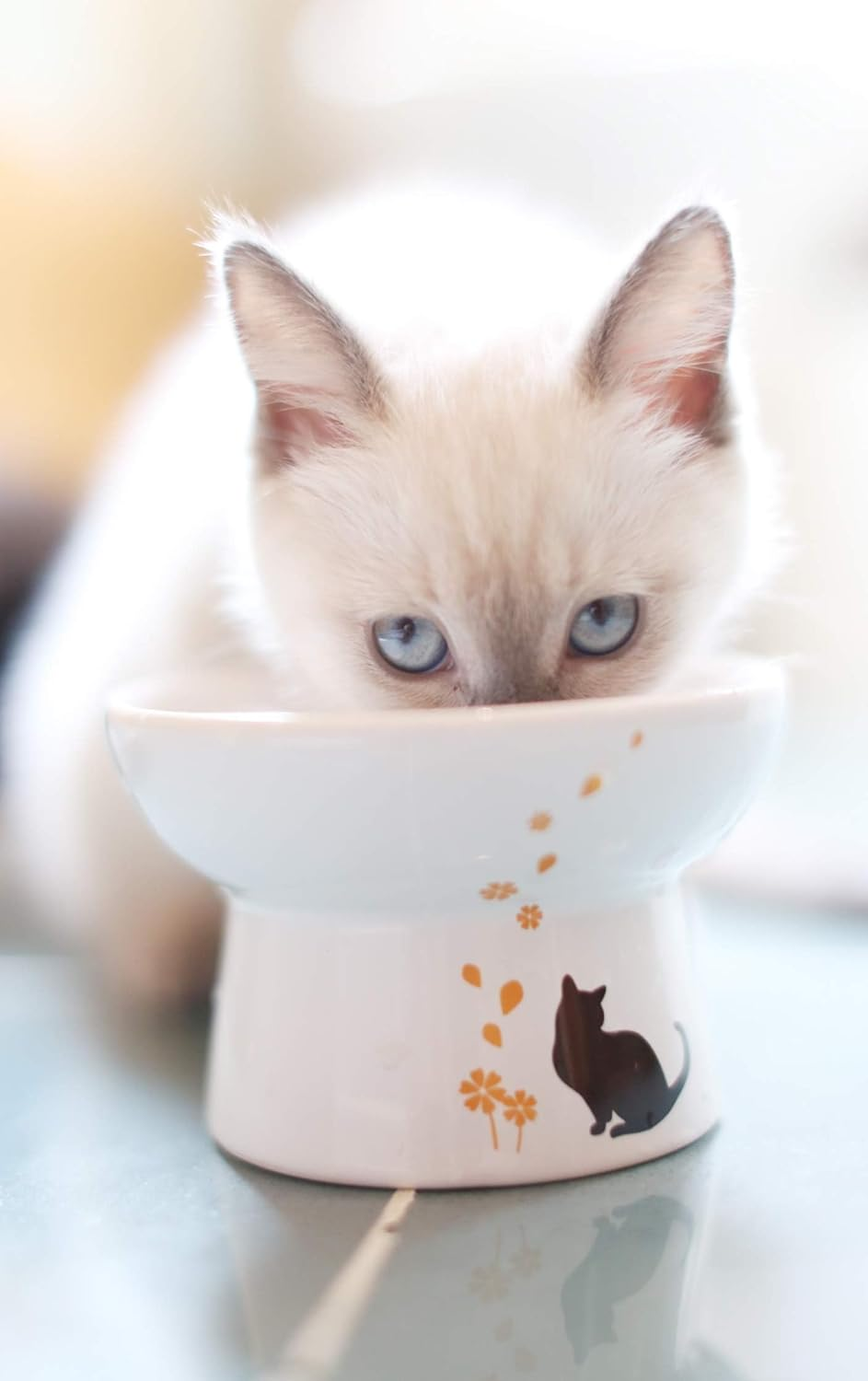 Minibees Raised Cat Bowl,Elevated, Porcelain Made, Pet Supplies, Backflow Prevention, Stress Free, Small to Medium, Safety Choice for Your Pet, Superior for Wet and Dry Food image number 6