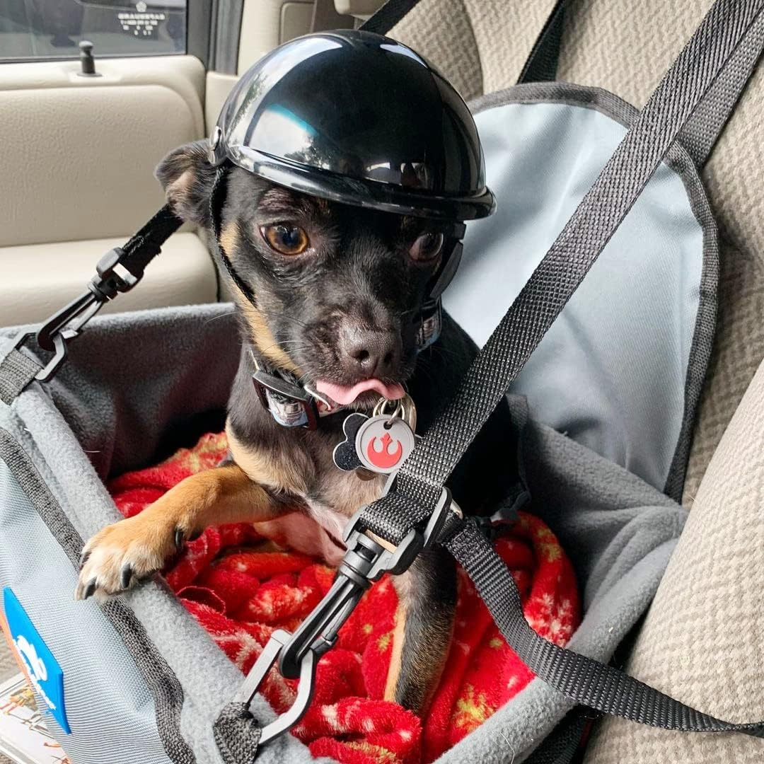 Enjoying Pet Helmet, Hard Hat for Small Dogs, Motorcycle/Bike Hat for Cat, Outdoor Riding Puppy Cap, Black, Small image number 4