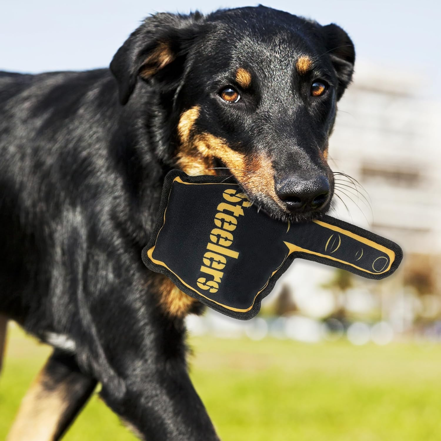 Pets First Toy for Dogs & Cats. Best Tough PET Toy with Inner Squeaker. image number 6