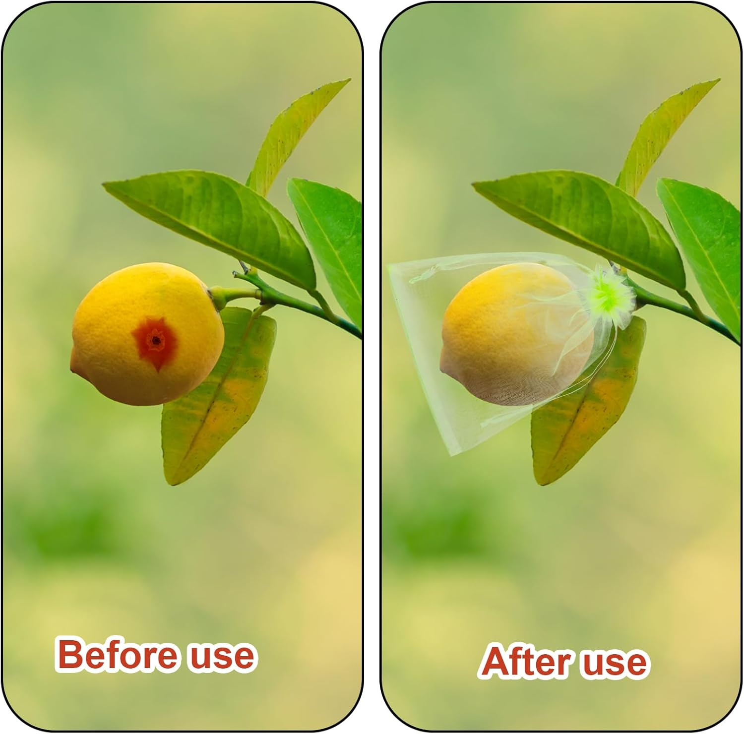 100Pcs Fruit Protection Bags, 6X4In Mesh Fruit Nets with Drawstring Reusable Netting Cover Bags Barrier for Protecting Trees Strawberries Vegetables Blueberries (Green) image number 4