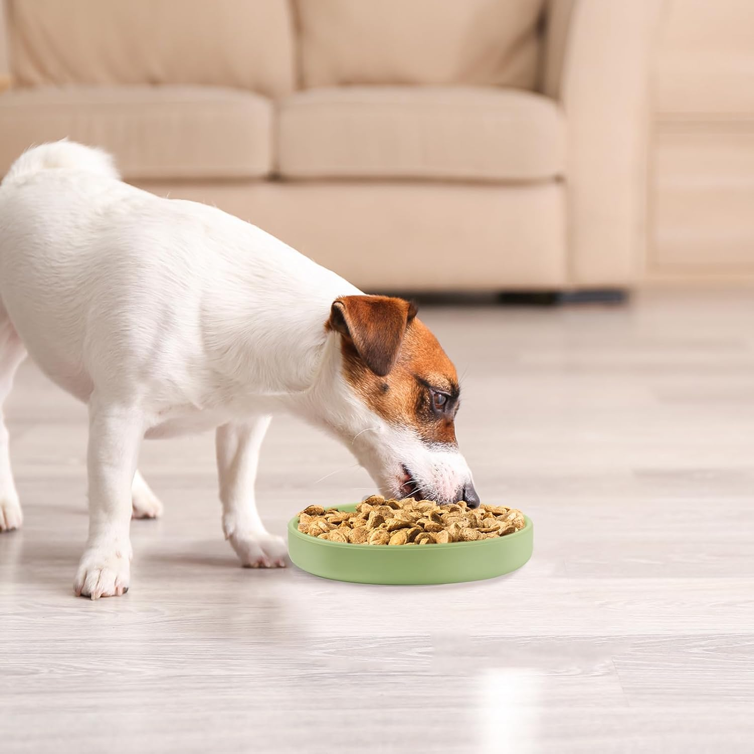 Feeding Bowls for Cats, Non-Slip Cat Bowl, Silicone Flat Feeding Bowl, Cat Bowl for Kittens, Small Dogs image number 4