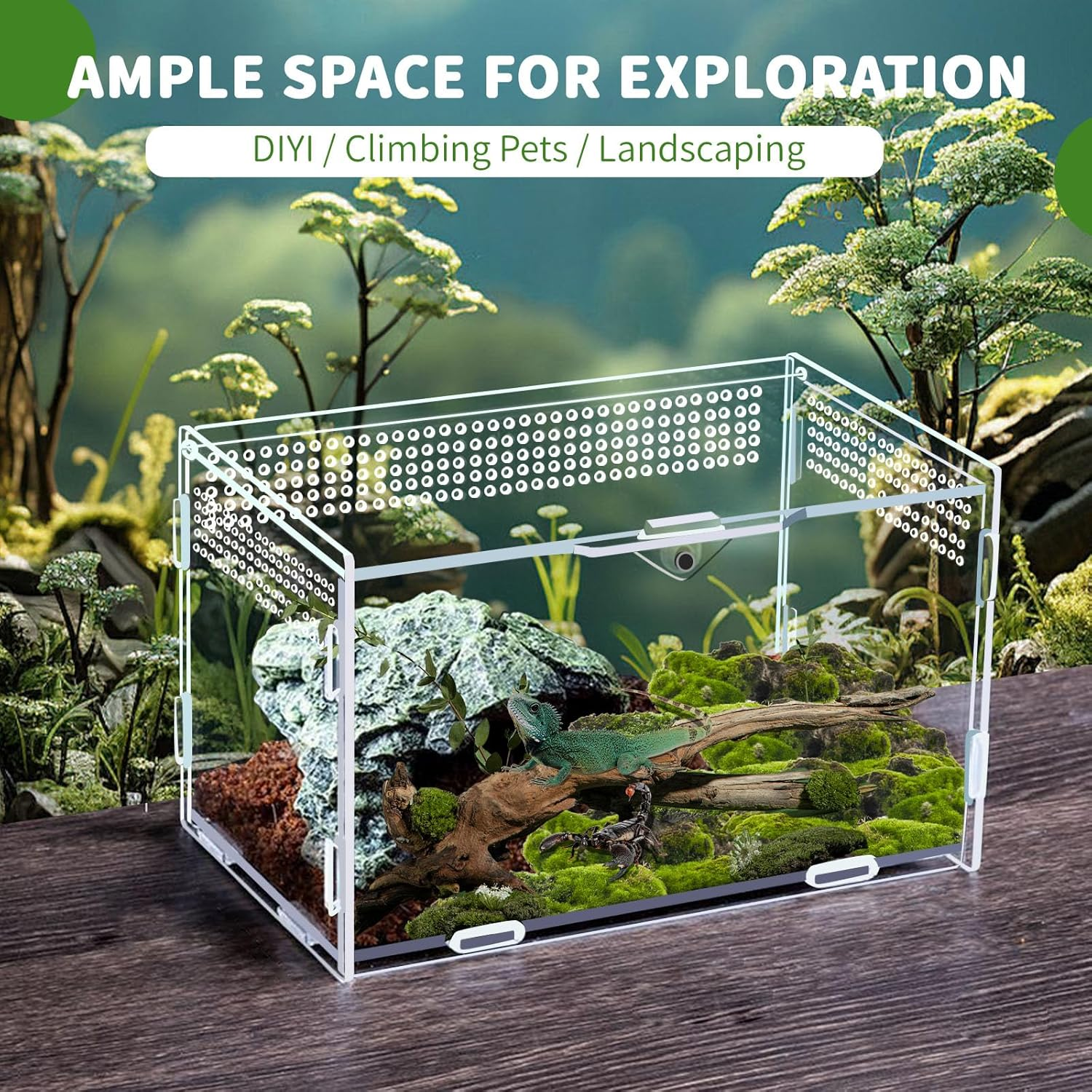 2 Sets Acrylic Clear Reptile Tank Accessories, Mini Spider Enclosure 7.9&rsquo;&rsquo;X4.8&rsquo;&rsquo;X4.8&rsquo;&rsquo;, Jumping Spider Enclosure - Acrylic Terrarium for Tarantulas, Reptiles (20 X 12 X 12Cm)