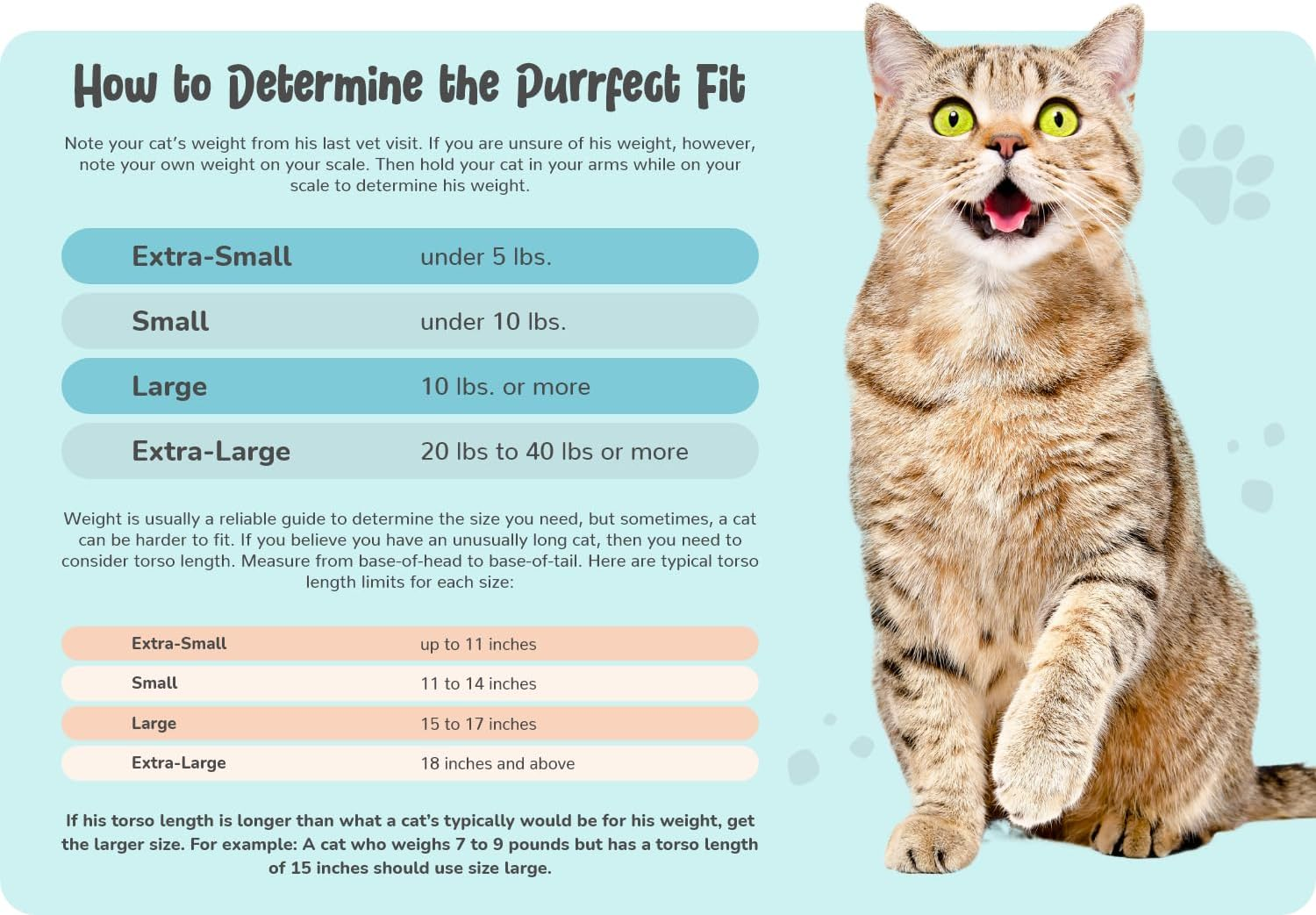 Small Cat Grooming Bag Restraint Carrier Clipping Nails Medicine Bath Travel Carrying IV Car Trimming Ear Care Dental Vet Visit Eye Cleaning Teeth Brushing image number 7