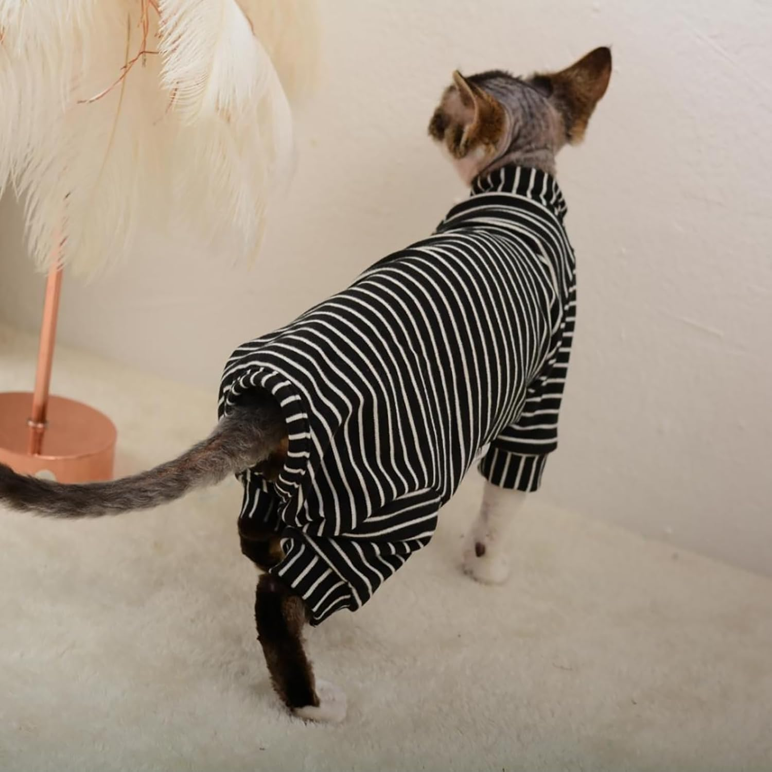 IUOUTG Hairless Cat Clothes Four Leg Breathable Sphynx Cat Apparel Stripes Cat T-Shirts with Sleeves Turtleneck Kitten Pullover Shirts Cat Pajamas Jumpsuit for Sphynx Devon Cornish image number 1