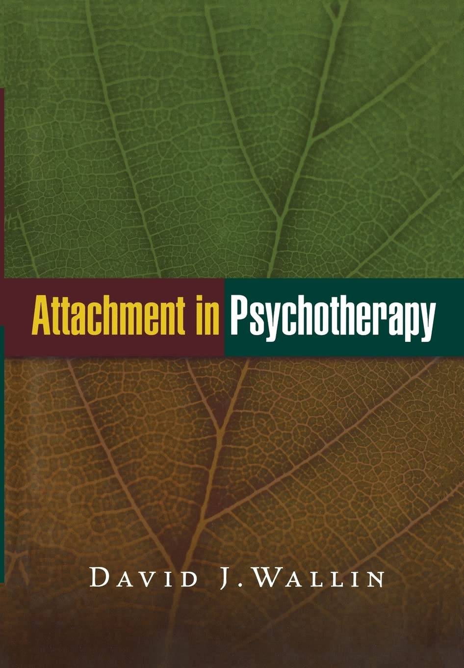 Attachment in Psychotherapy image number 2