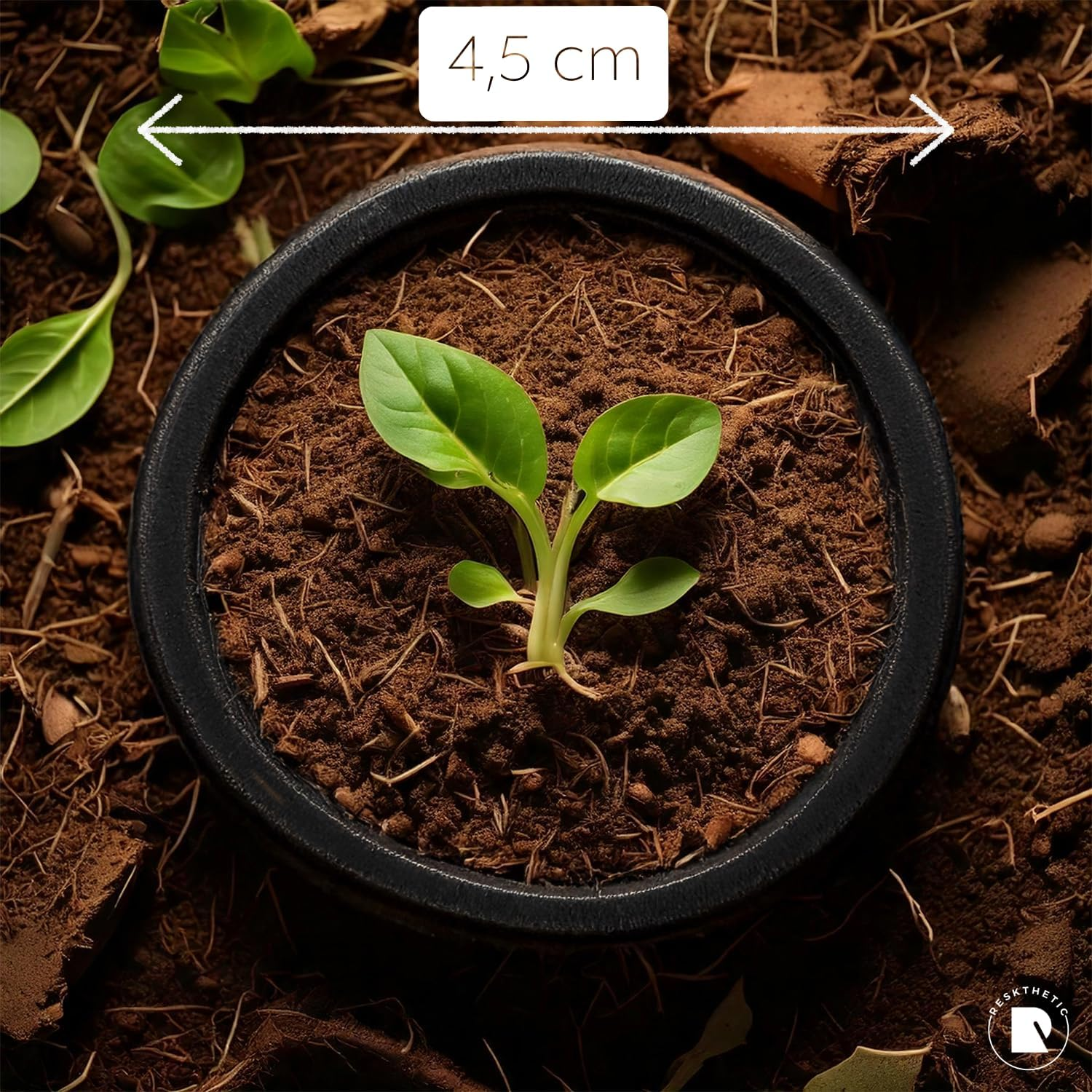 Biodegradable Hair Bobbles