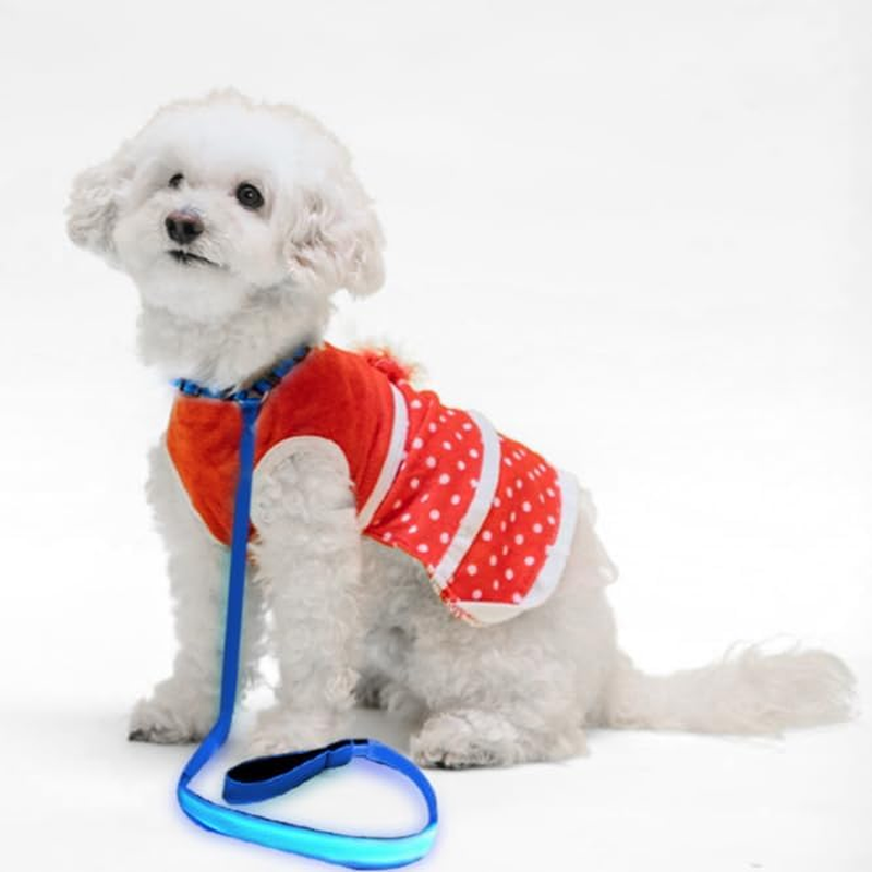 Led Dog Leash, Luminous USB Charging Led Dog Leash Accessories Lead Strip Glowing Light up Led Dog Leash(Blue) image number 3