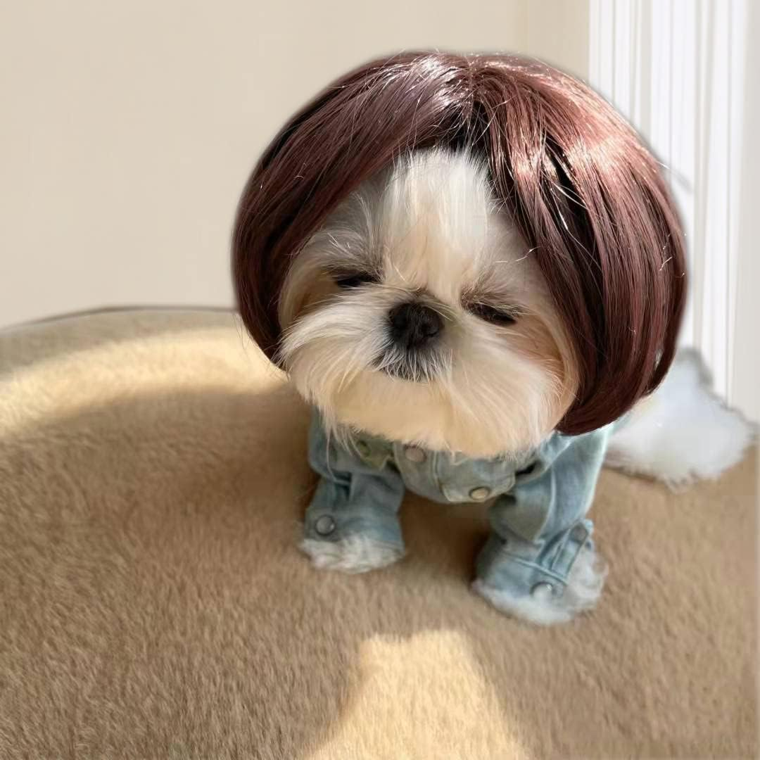 Funny Dog Cat Cosplay Wig, Pet Wigs for Halloween, Christmas, Parties, Festivals, Dog Wigs for Small Medium and Large Dogs (Black Brown Straight Hair) image number 2
