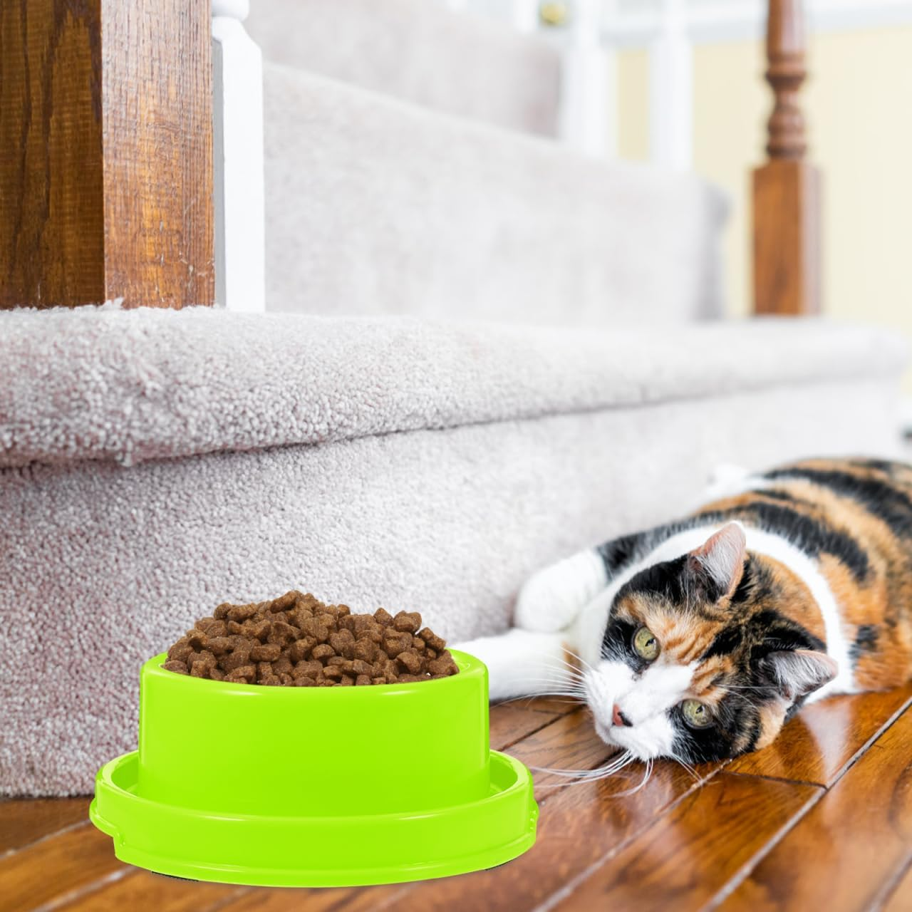 Ipetboom Ants Away Dog Bowl, Plastic Cat Puppy Food Bowls round Pet Food Dish, Ant Proof No Spill Water Feeding Eating Dishs for Small Animals, Green - Yellow image number 3