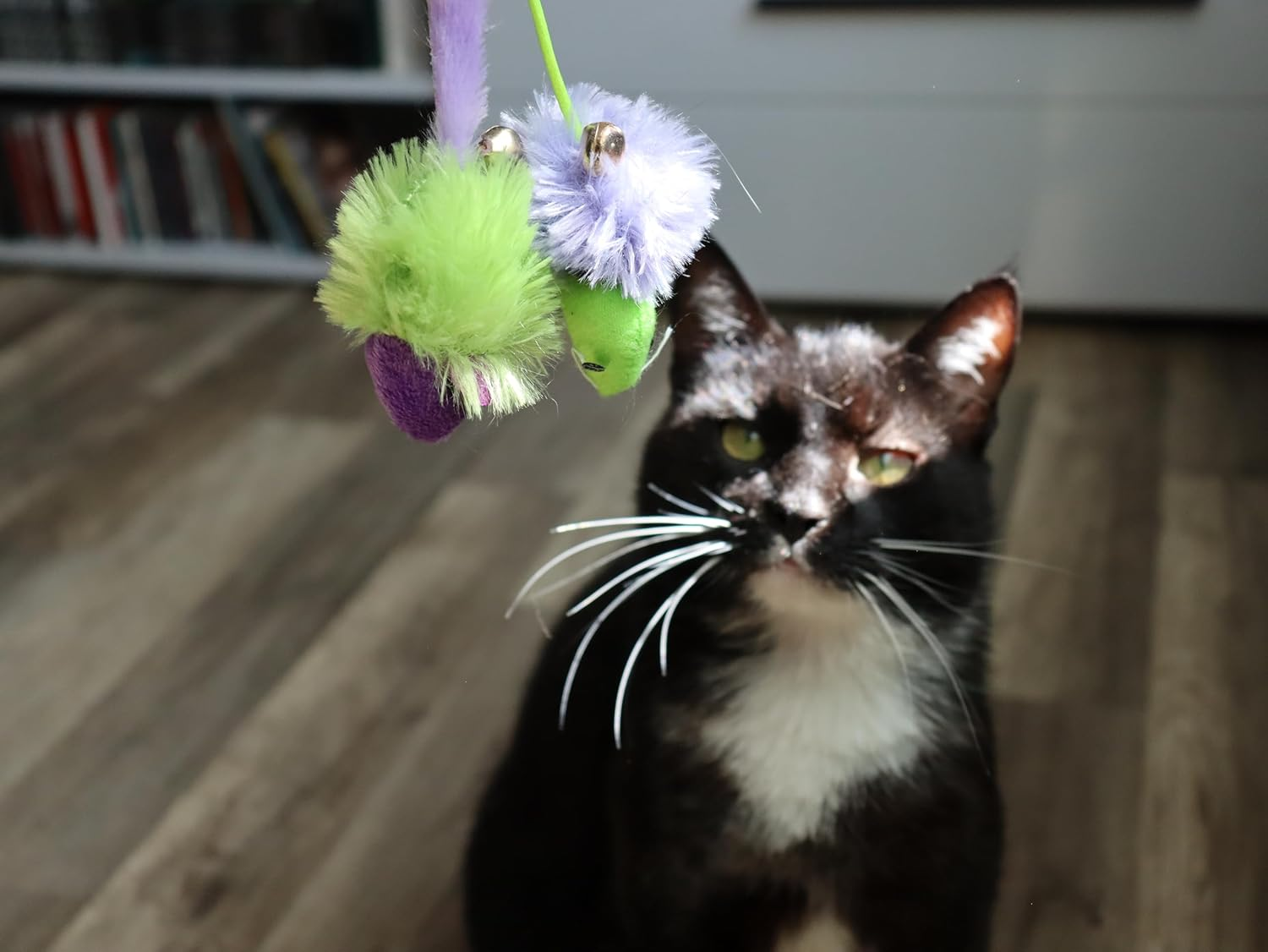 Dingo Party Cat Toy Set: 2 Fluffy Fabric Mice with Bells for Playing and Hunting. Lightweight Pet Toys in Green and Purple (21194) image number 4