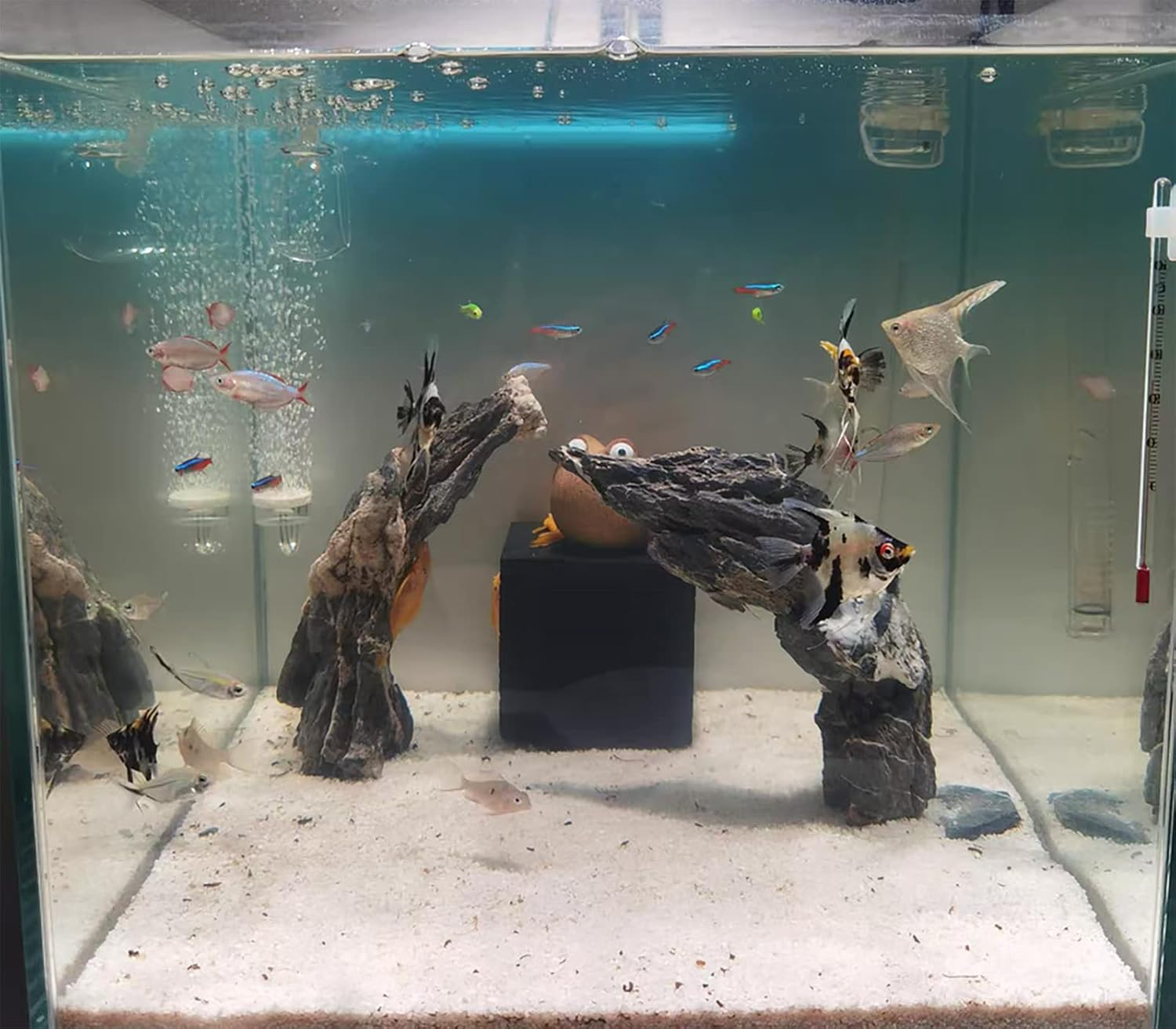 Activated Carbon Aquarium Filter,Water Purifier Cube,Eco-Aquarium Filter,Activated Charcoal Cubes,For Aquarium,Ponds,Fish Tank, Water Purification,Water Tank image number 2