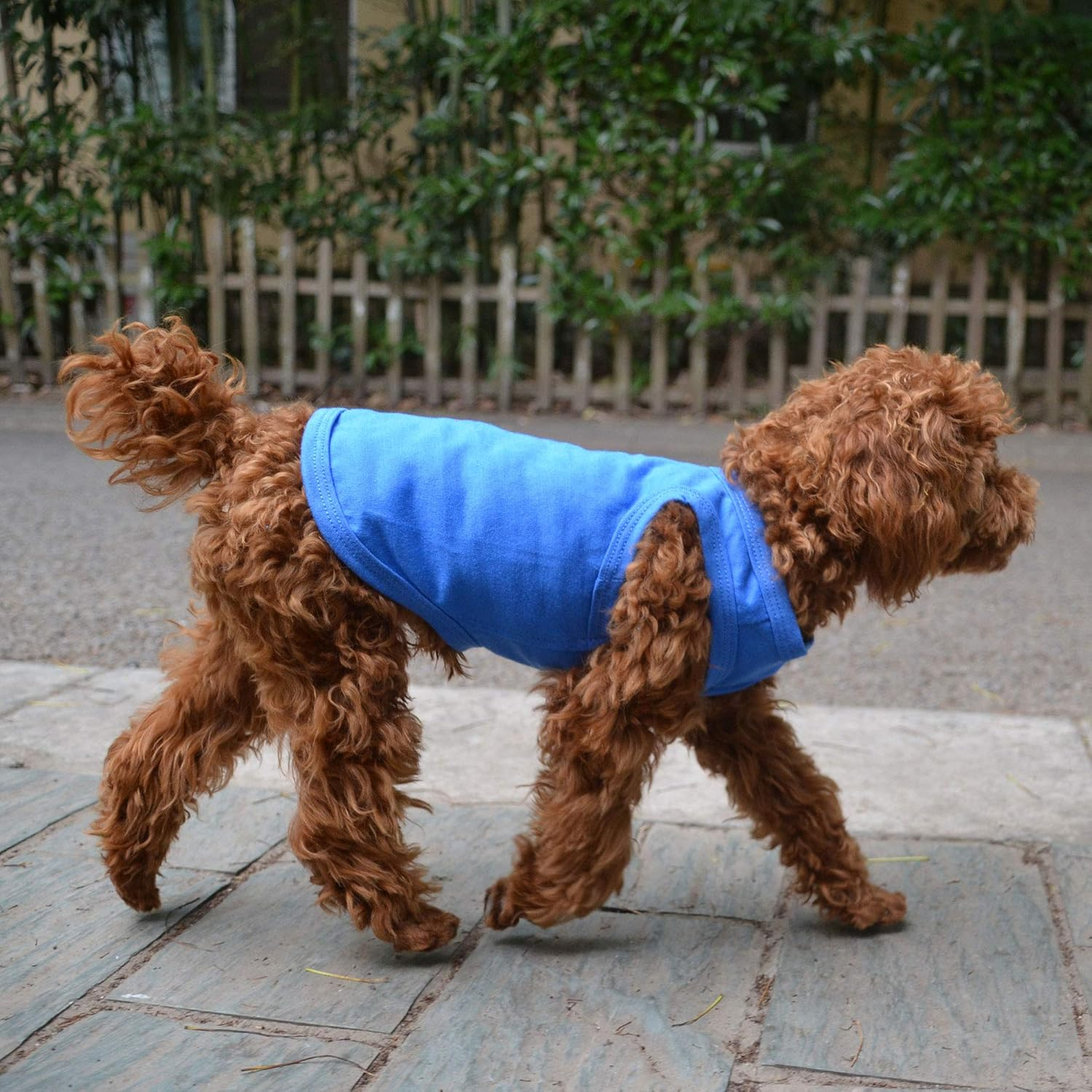 2018 Pet Clothes Dog Clothing Blank T-Shirt Tanks Top Vests for Small Middle Large Size Dogs 100% Cotton Dog Summer Vest Classic (S, Blue)