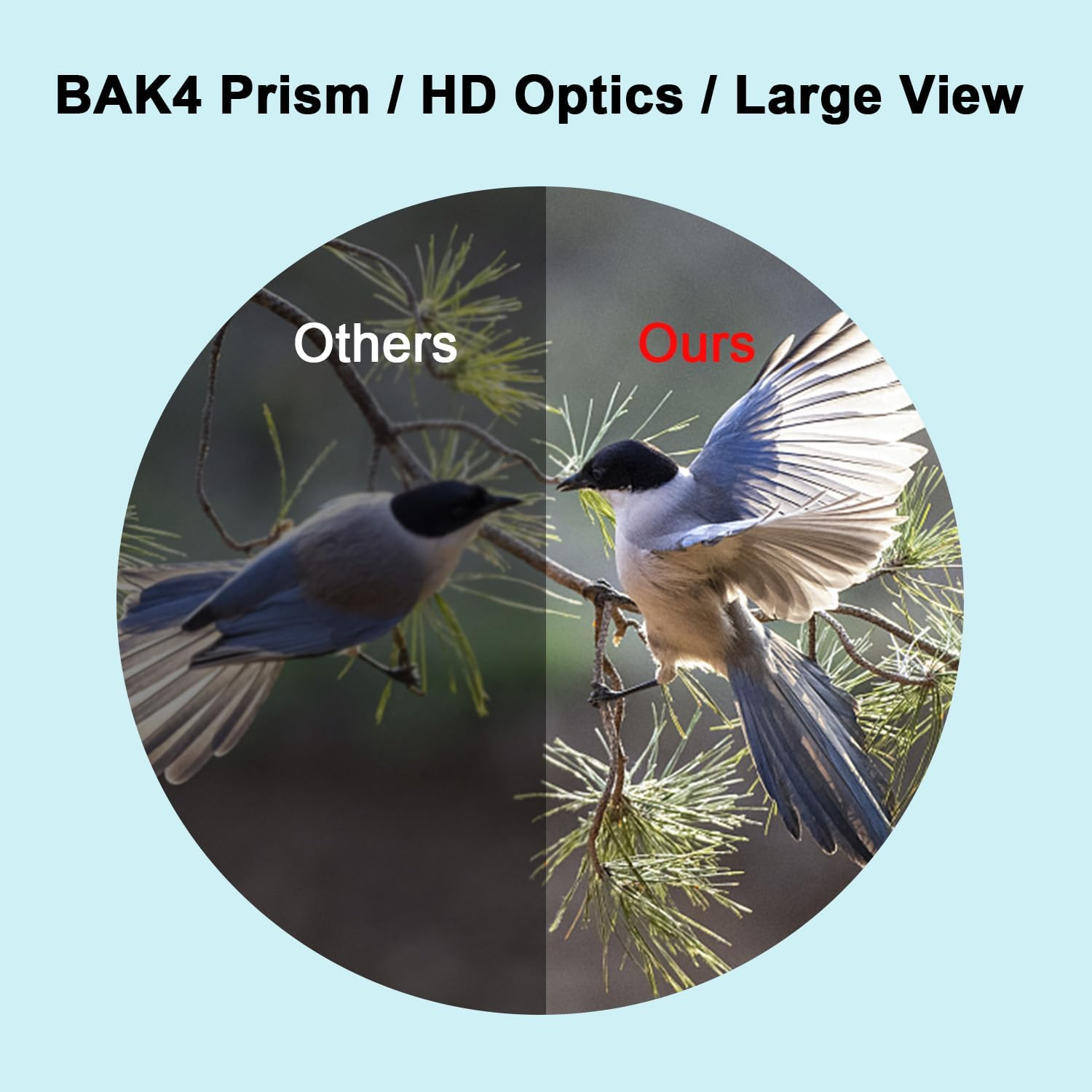 20X50 HD Binoculars for Adults with Phone Adapter, Waterproof Binoculars with Low Light Vision, Binoculars for Hiking, Bird Watching, Sports and Concerts image number 4