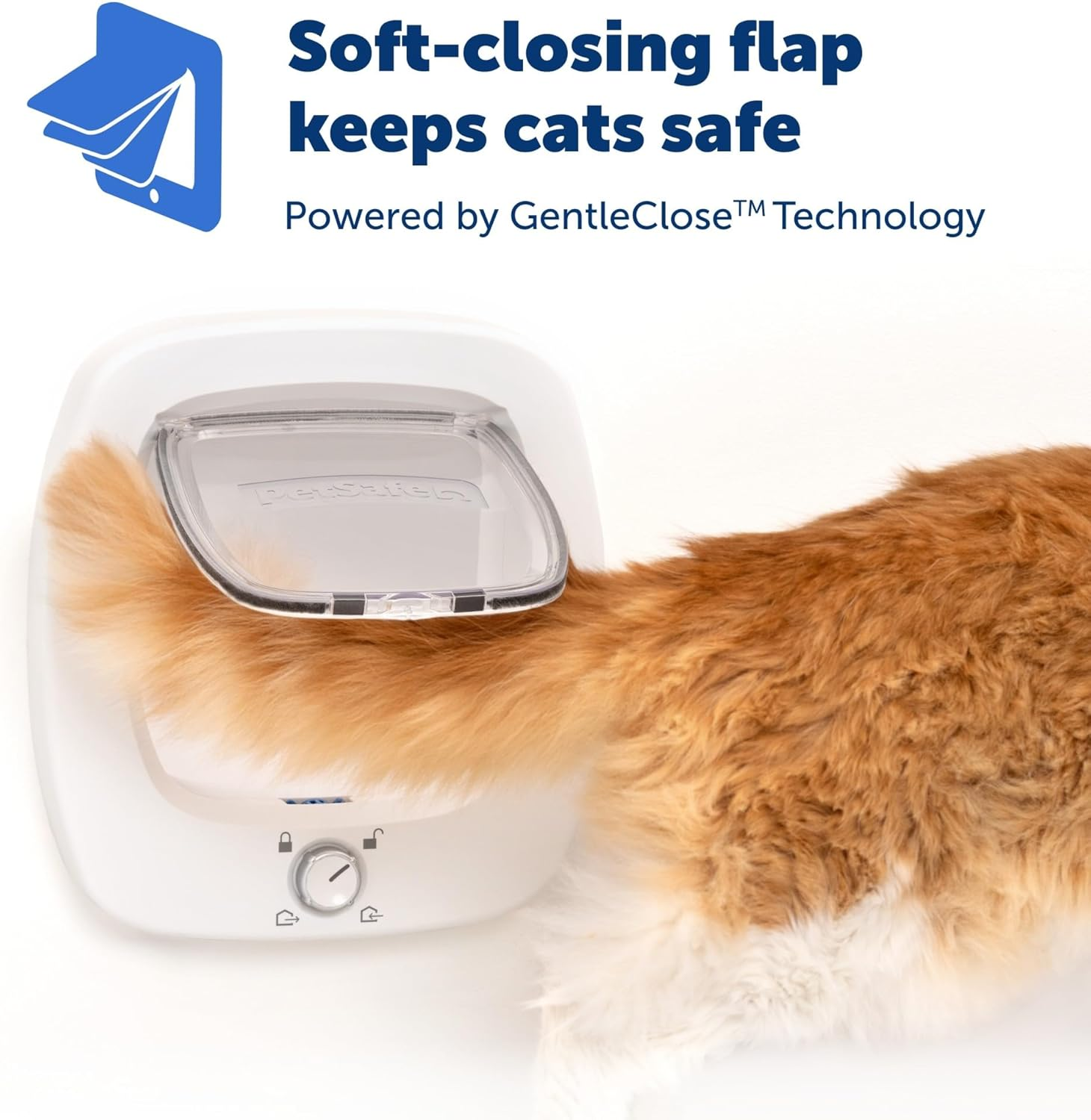 Petsafe Big Cat Door - Multi-Pet Doorway, Locking Cat Door Made for Interior & Exterior Use, Suitable for Pets up to 25 Lb, Push-&-Turn 4-Way Lock for Extra Security &ndash; Soft Close Flap for Added Safety image number 3