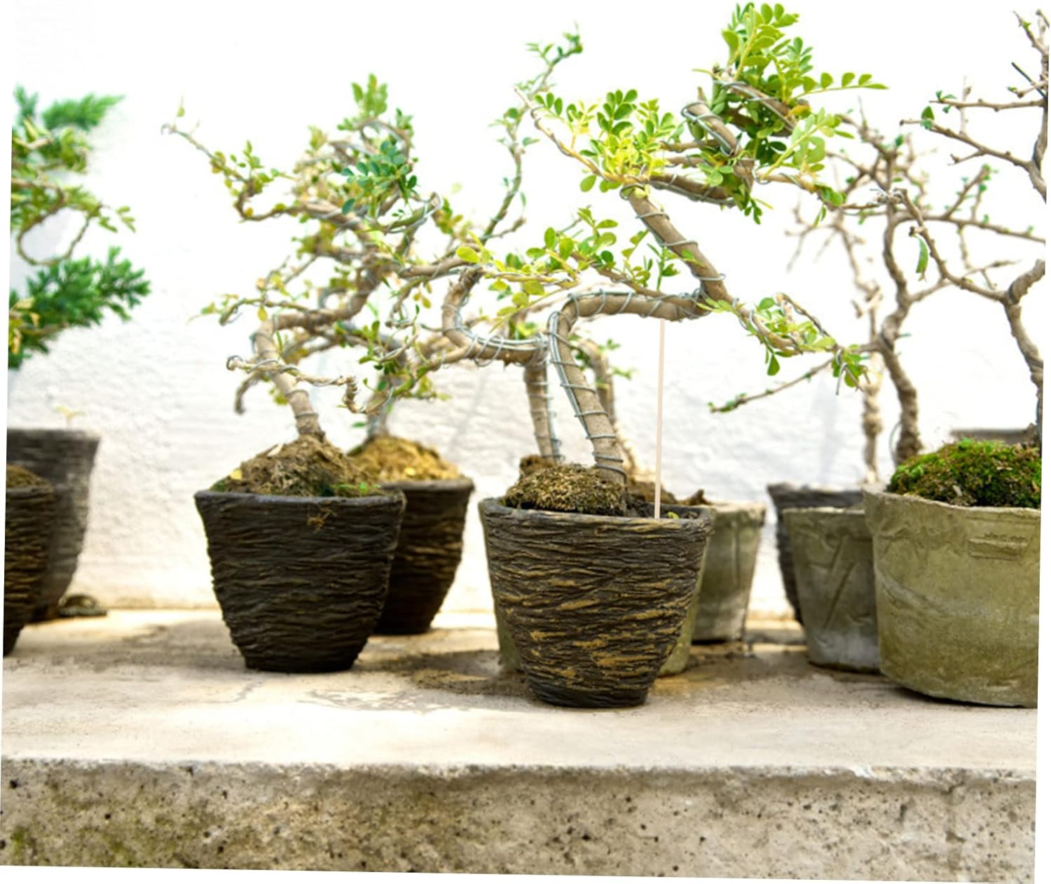 FUNOMOCYA 200Pcs Bamboo Sticks Garden Sticks Floral Plant Support Stakes Planting Supplies for Plant Growth Support DIY Gardening image number 5