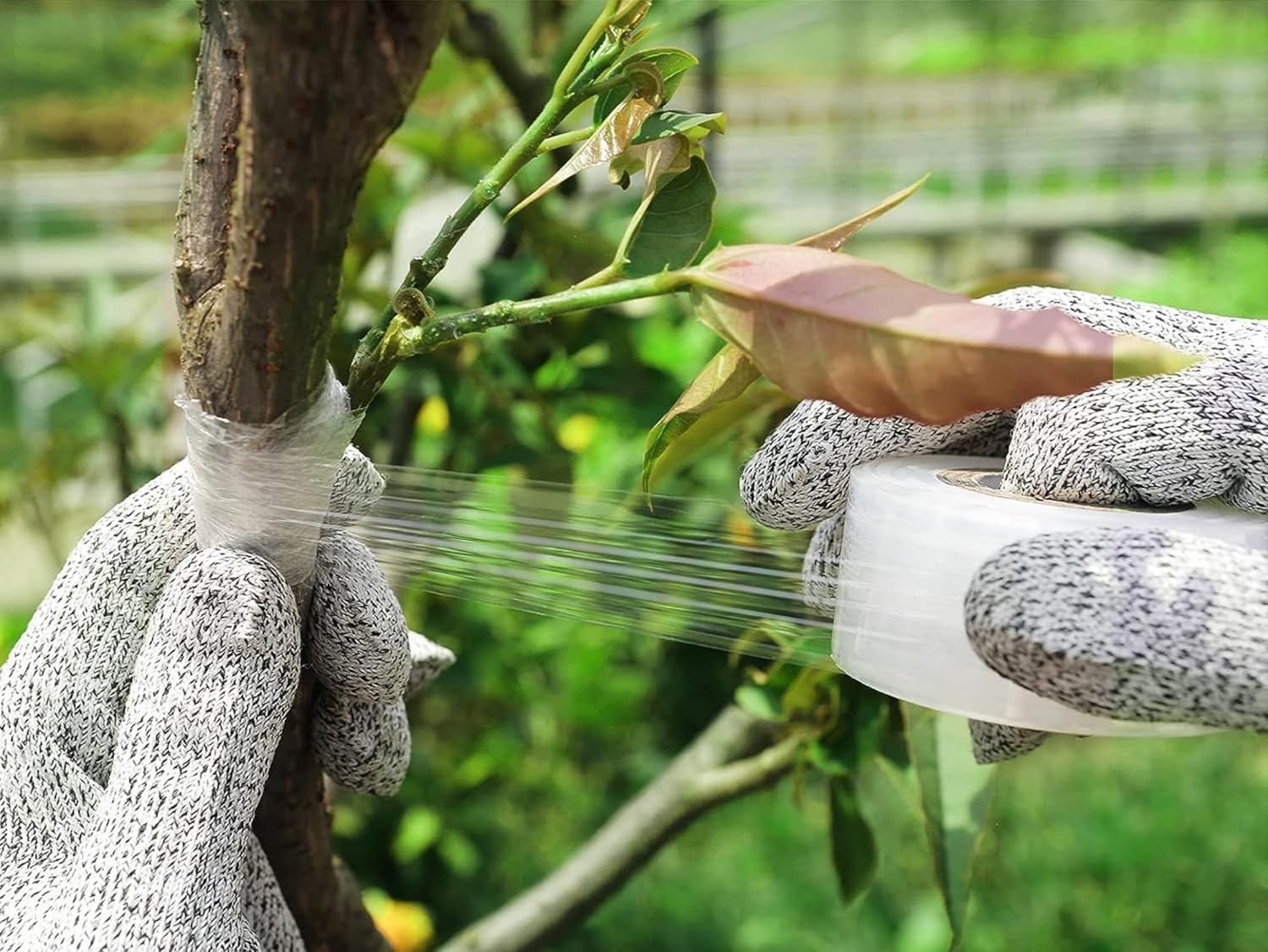 Stainless Steel Grafting Knife Kit, Flexible Double-Blade Garden Knife for Budding and Pruning, Includes 2 Plant Repair Tapes for Floral and Fruit Trees image number 1