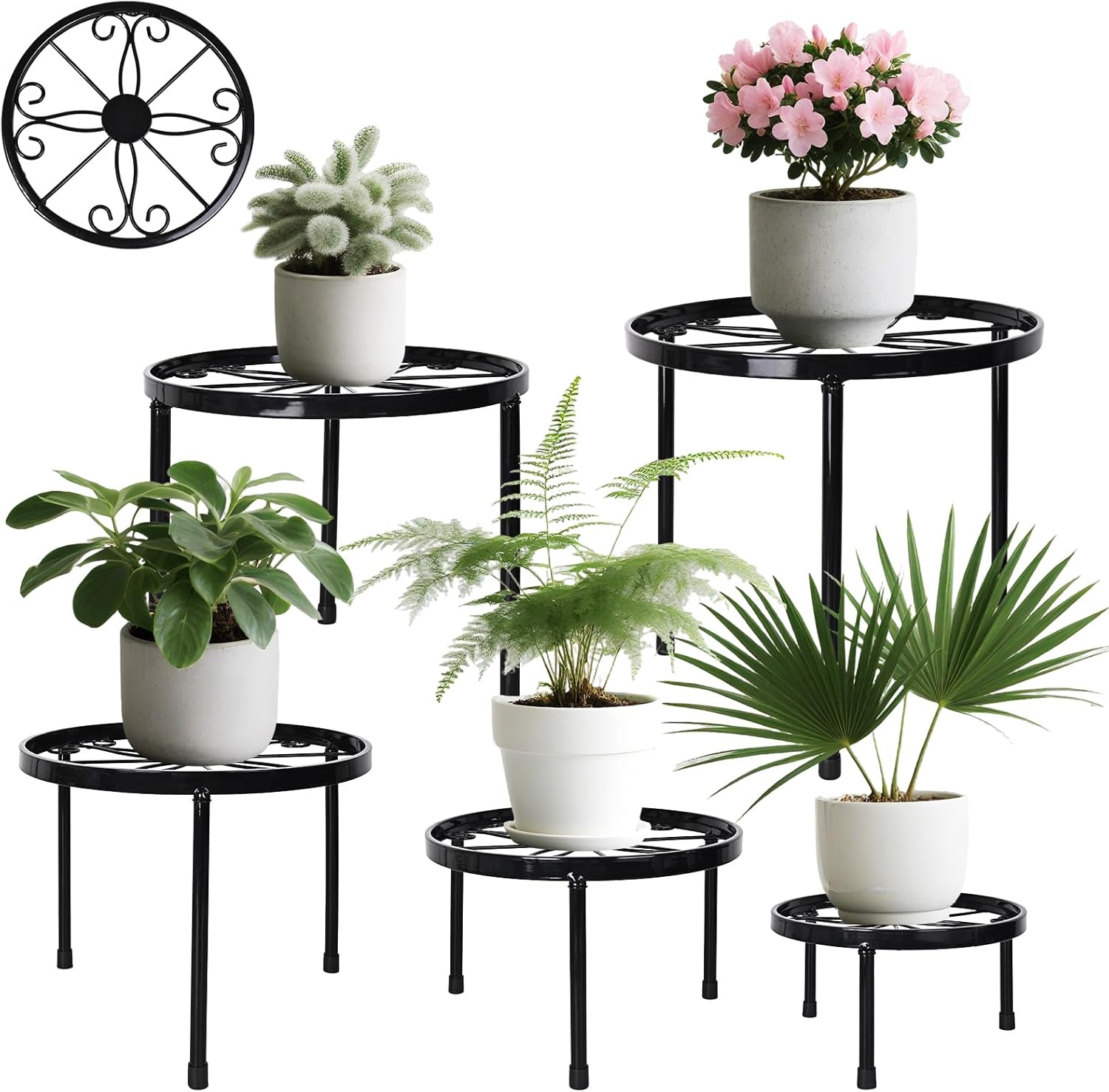 5 Pack Metal Plant Stands, Ditind Heavy Duty Flower Pot Stands for Multiple Plant, Plant Pot Shelf, Rustproof Iron Potted Stand Holder for Outdoor Indoor, round Supports Decor Racks for Garden Home image number 1