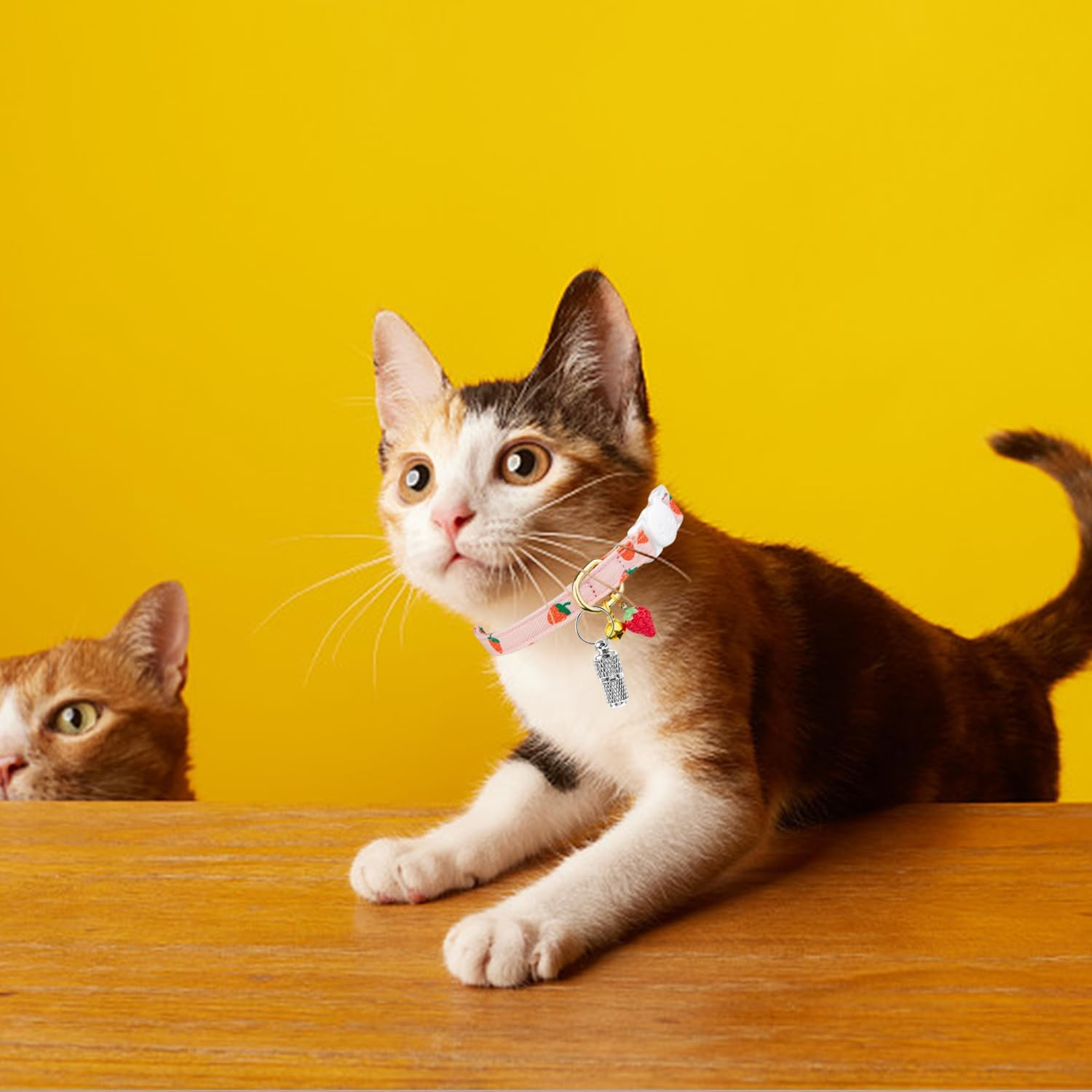 QIXNBL Pack of 2 Cat Collars and 2 Pieces Identity Pendants, Collars with Fruit Print, with Safety Buckle Design, Fashionable Collars, Cute Pets on the Road. image number 3