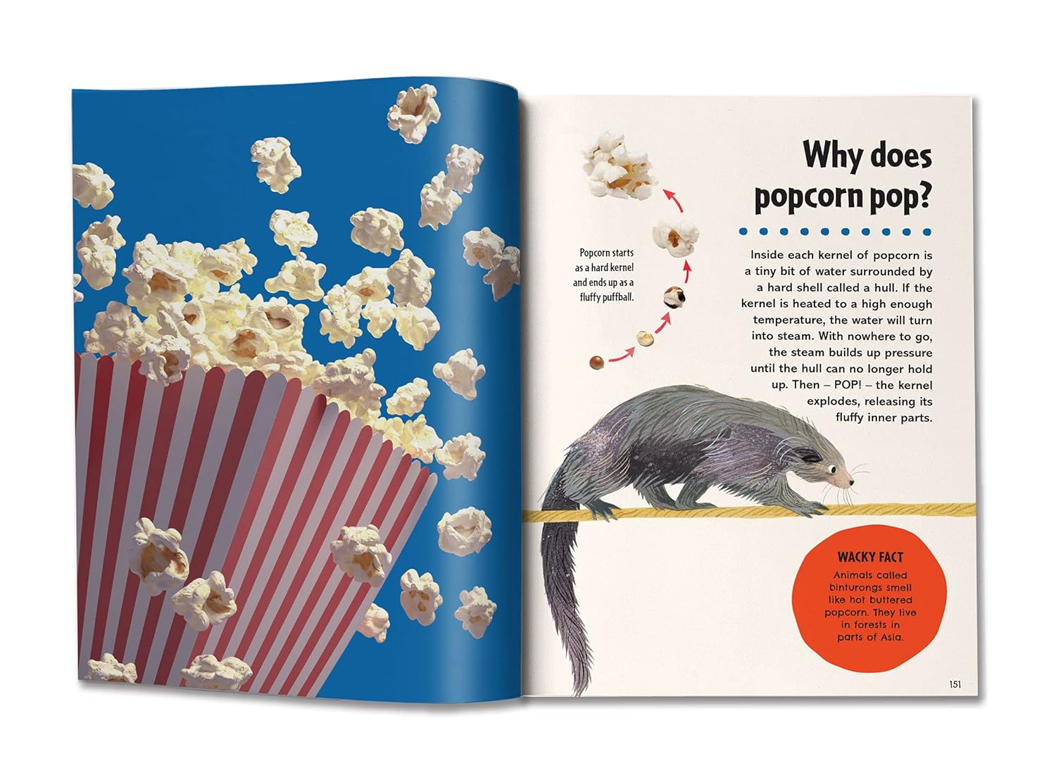 Britannica First Big Book of Why: Why Can'T Penguins Fly? Why Do We Brush Our Teeth? Why Does Popcorn Pop? the Ultimate Book of Answers for Kids Who Need to Know WHY! image number 4