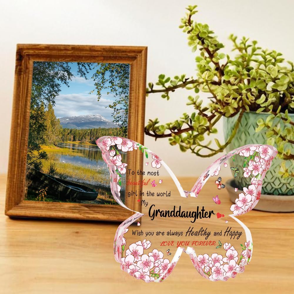 Plaques Women Birthday Gifts for Women Mom Dad Sister Grandma Aunt Gifts Gift from Daughter Granddaughter Gifts from Grandma Christmas Thanksgiving New Year Birthday Gift image number 1