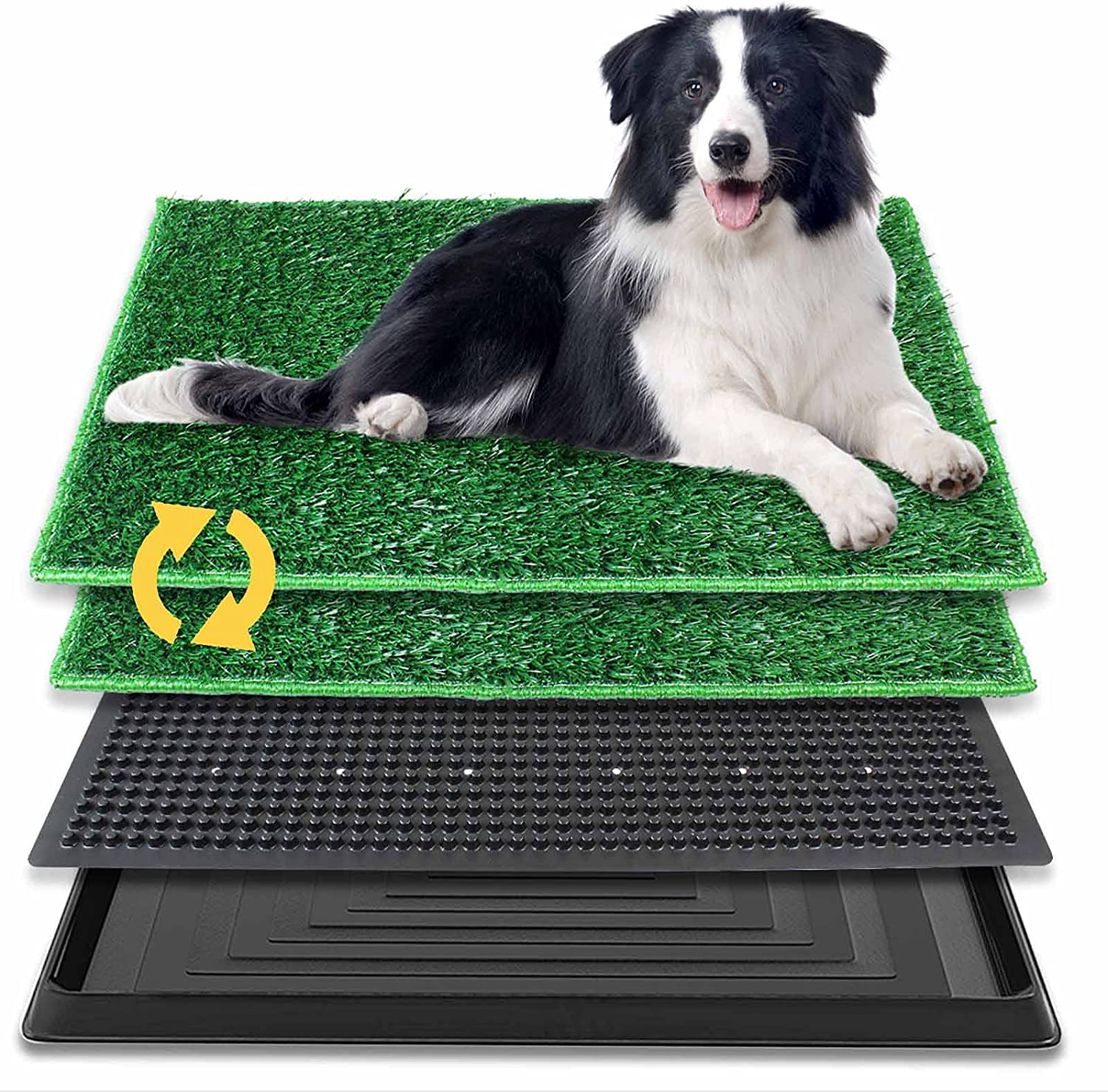 BRIAN & DANY Dog Toilet Puppy Pee Training Pad, with Two Artificial Grass Mats and Waste Tray for Indoor/Outdoor, 76Cm X 51Cm image number 6
