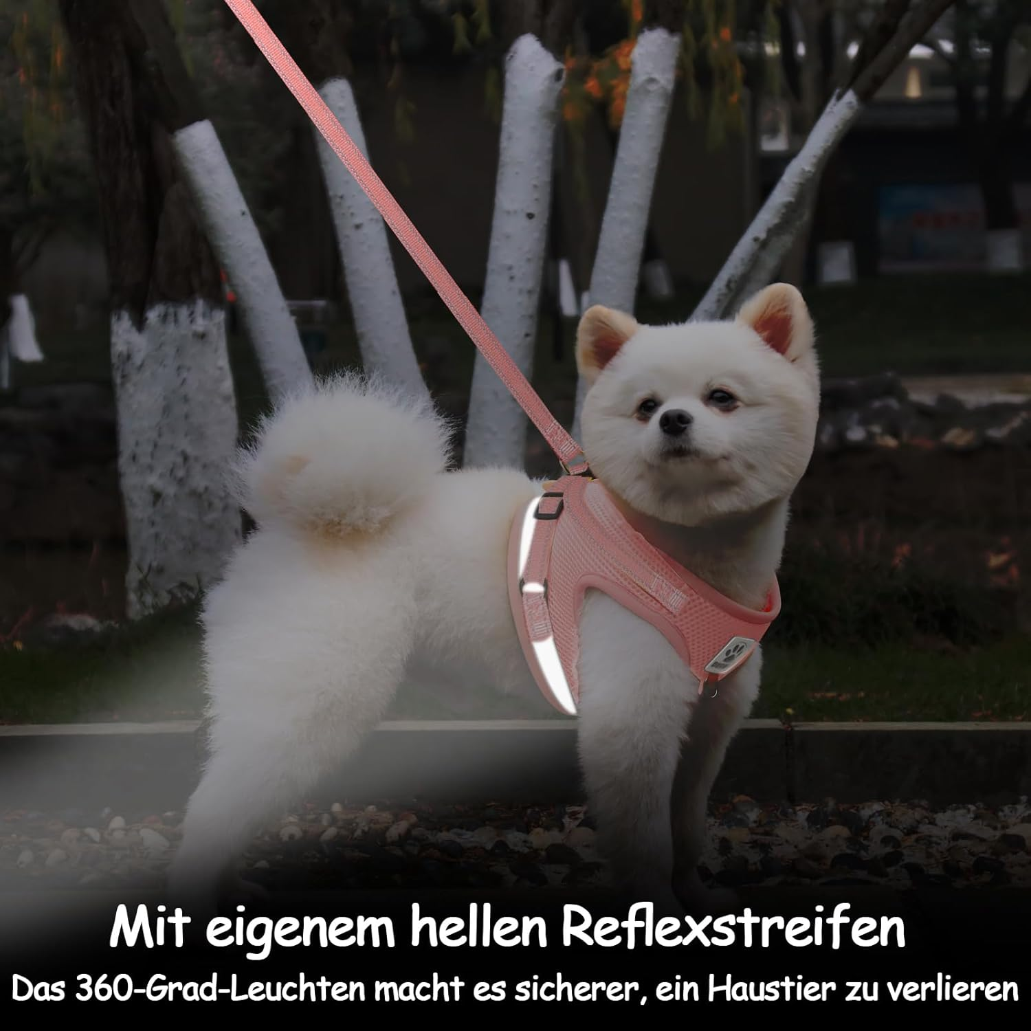 Grantop Cat Lead Set for Cats, Polyester Adjustable Cat Harness with Lead, Cat Vest with Reflective Strips for Kittens, Dogs (Pink, L) image number 2