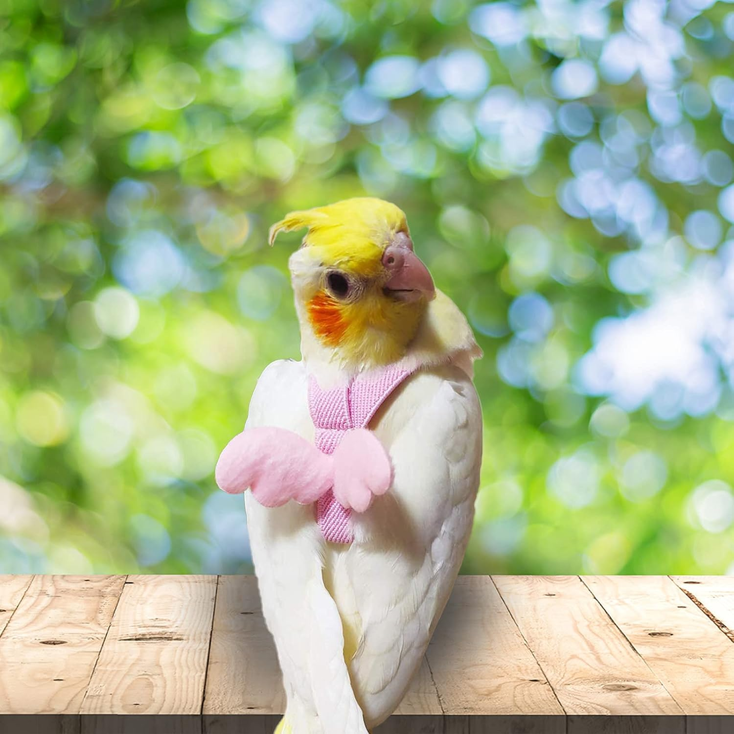 Dnoifne Parrot Bird Harness and Leash, Adjustable Training Design, Anti-Bite Nylon Rope with Cute Wing, Suitable for Alexandrine, Scarlet, Keck, Mini Macaw & Same Size Bird (Pink) - Blue image number 7