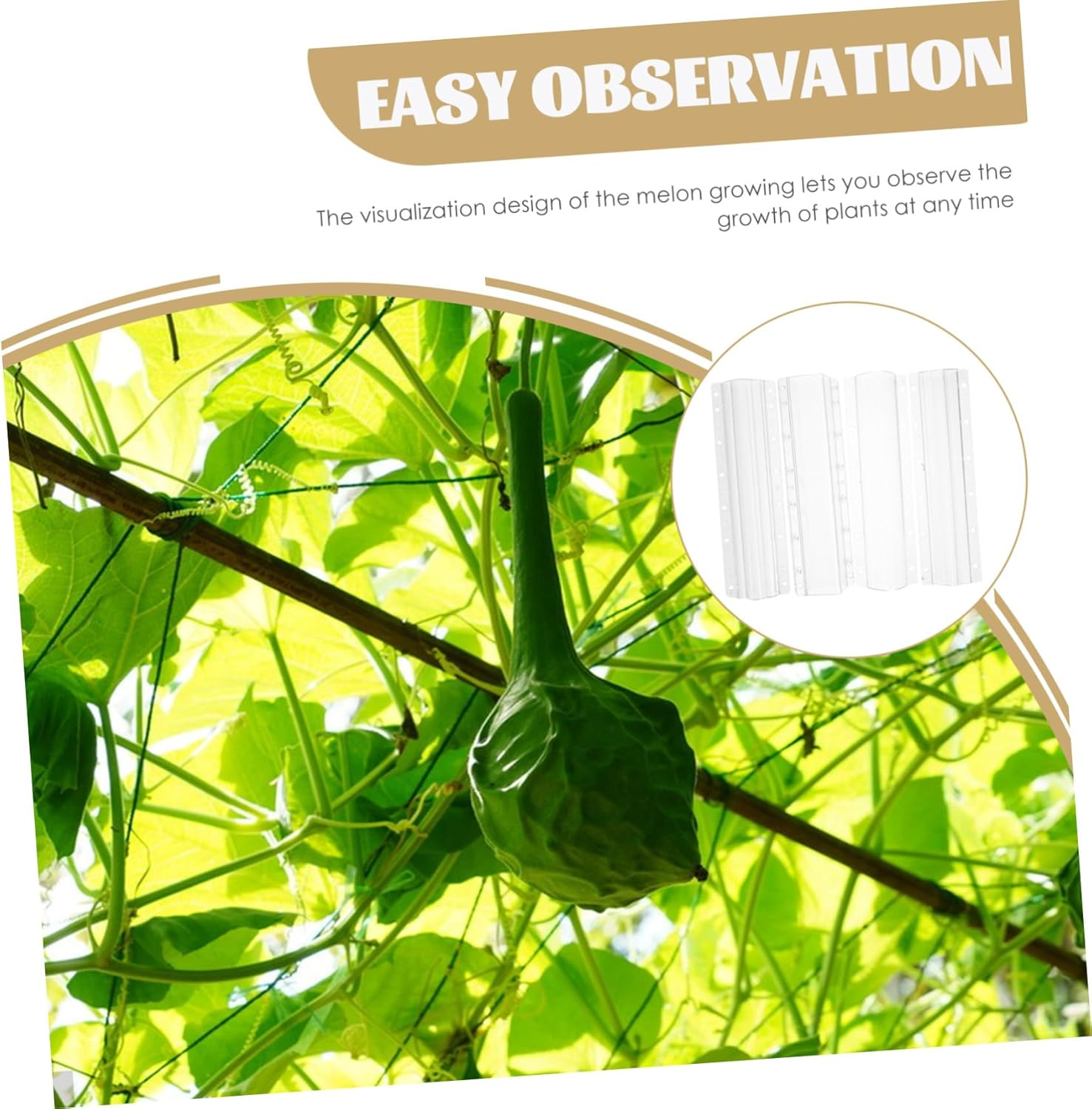 BESPORTBLE 4Pcs Vegetable Fruit Shaping Molds Molds Melon Ginseng DIY Gardening Outdoor Vegetable Growing Reusable image number 2