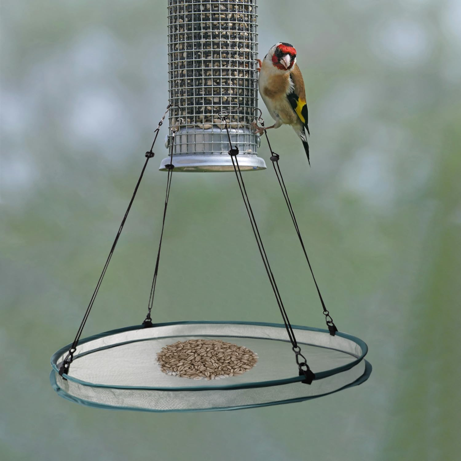 Lyreh 2 Pcs Bird Seed Shell Trays with 8 Pcs Hooks, Hanging Bird Seed Tray Holder Platform Feeder for Attracting Birds Outdoors Backyard Home Garden image number 6