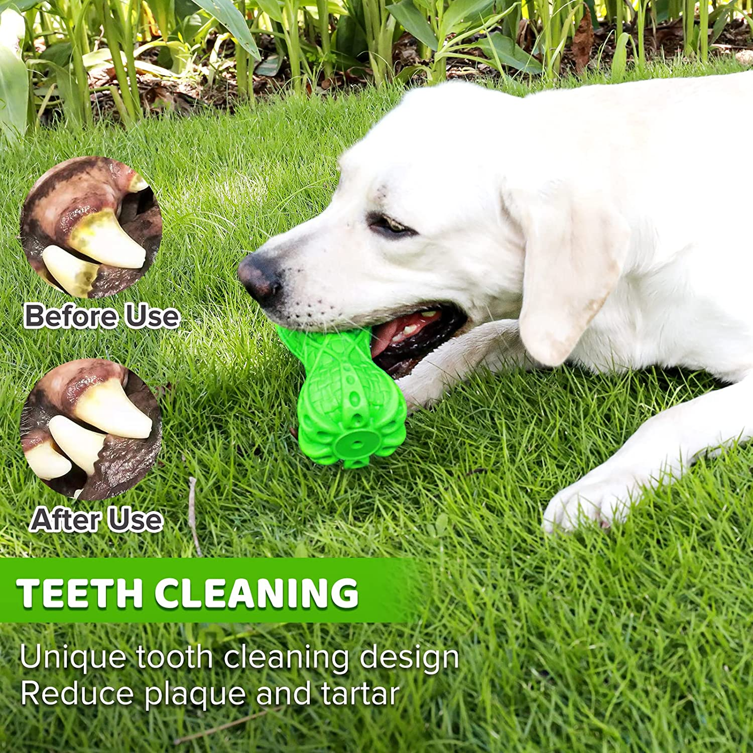 Dog Toy for Aggressive Chewer Large Medium Nearly Indestructible Super Chew Dog Toys Squeaky Dog Birthday Toy Dog Toothbrush Interactive Tough Durable Dog Toys Natural Rubber image number 5