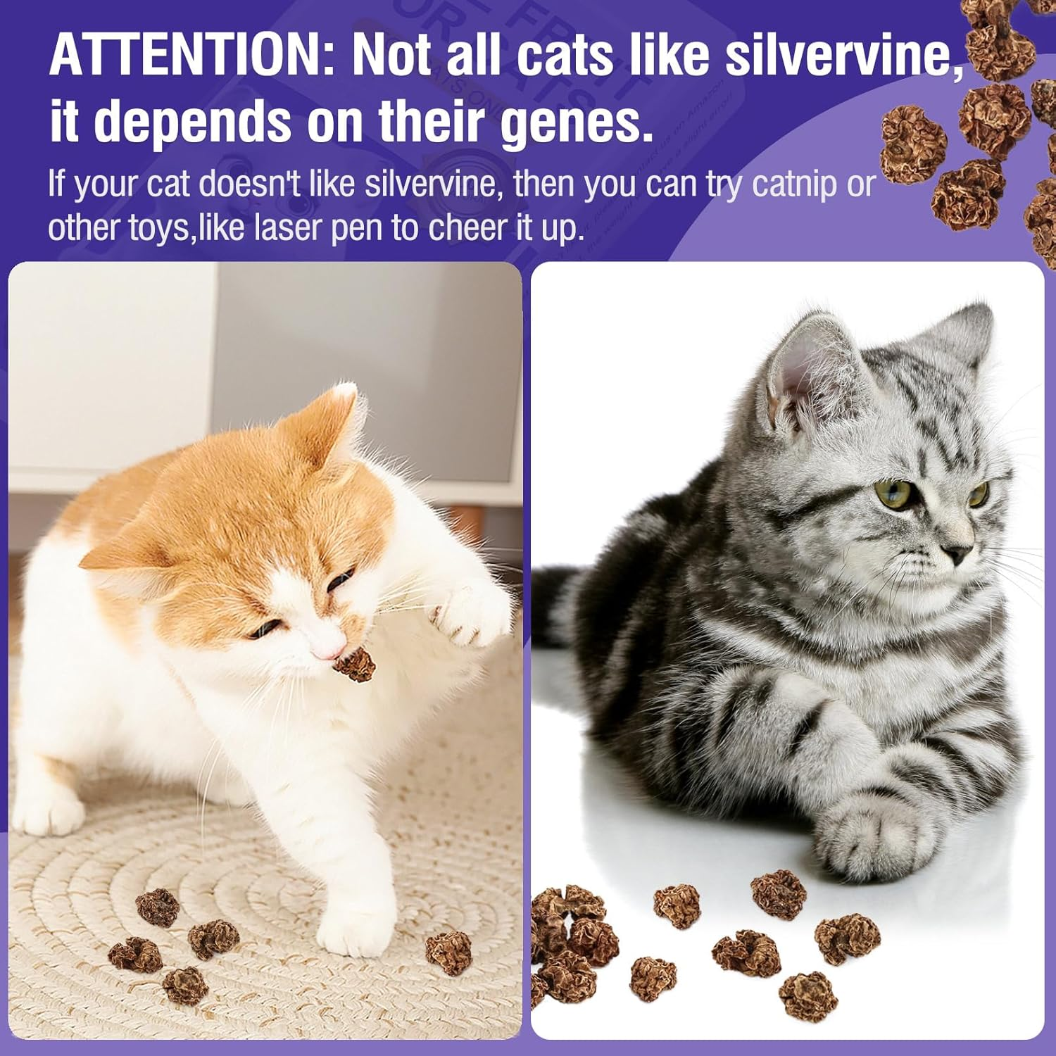 Havenjanny 20Pcs Dried Silvervine Gall Fruit, Natural Silver Vine Cat Chew Toy, Matatabi Cat Toy for Dental Cleaning Hard Chew Cheer Up image number 2