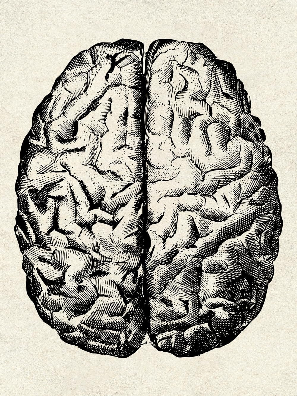 Ohhvvow Human Anatomy Artwork Medical Wall Picture Muscle Skeleton Vintage Poster Nordic Canvas Print Education Painting Modern Decor(Unframed) image number 7