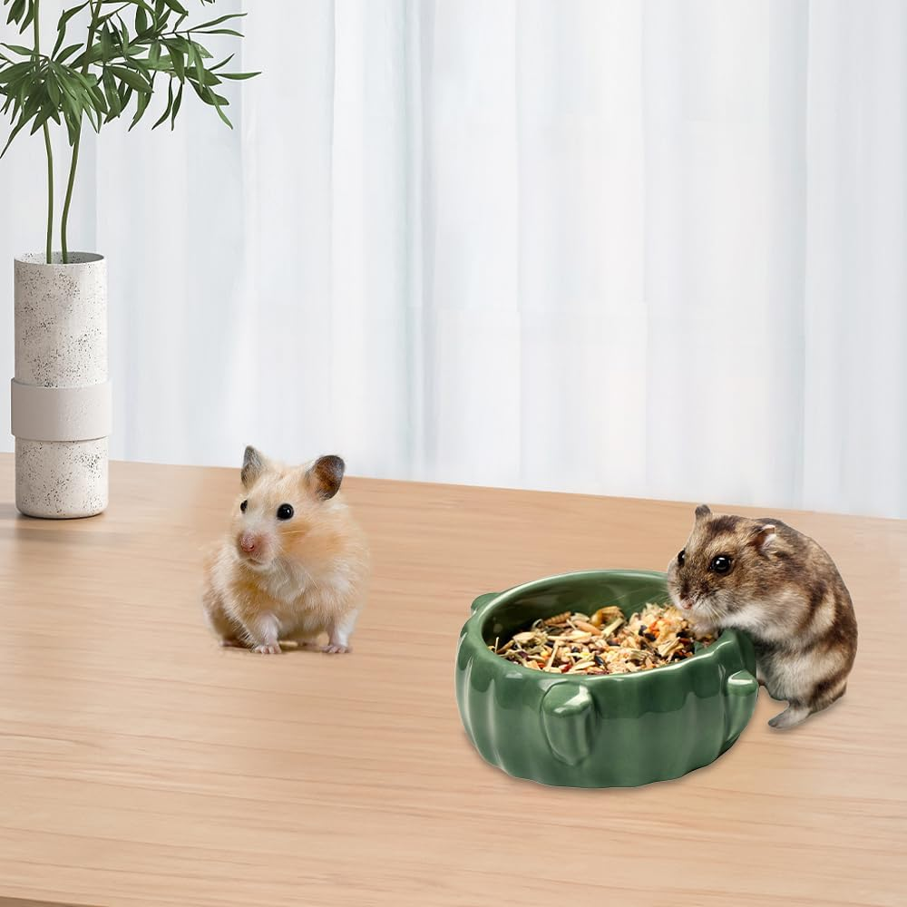 2PCS Food Bowl for Hamster Cactus Drinking Bowl Waterproof Food Dish Ceramic Feeding Bowls for Small Animals, Birds, Guinea Pig, Chipmunk image number 3