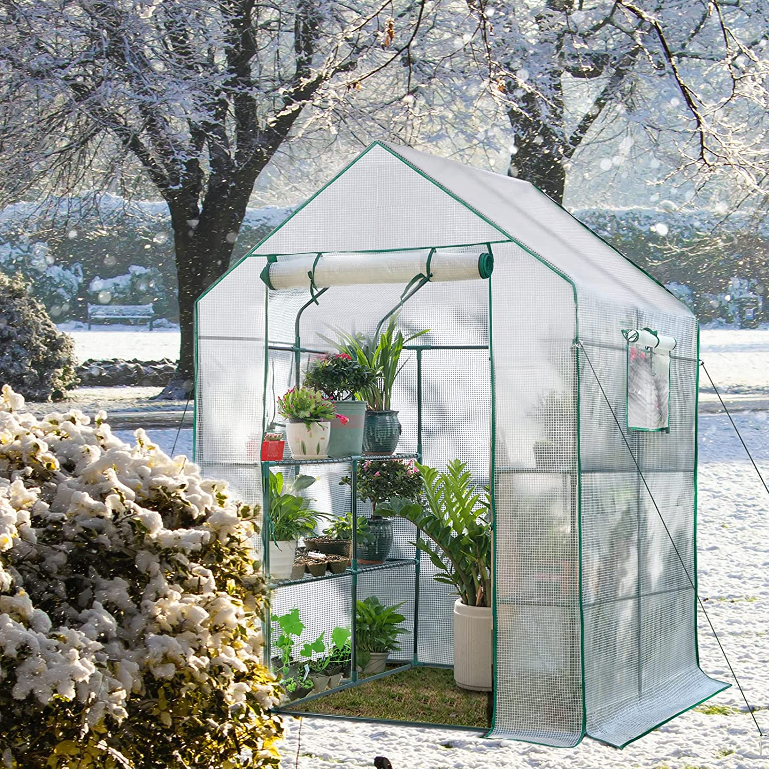 Green Houses for Outdoors, PE Walk in Greenhouse with 2 Side Mesh Windows, Portable Green House with Anchors & Ropes Stands up to Wind, 56"X56"X78" White image number 4