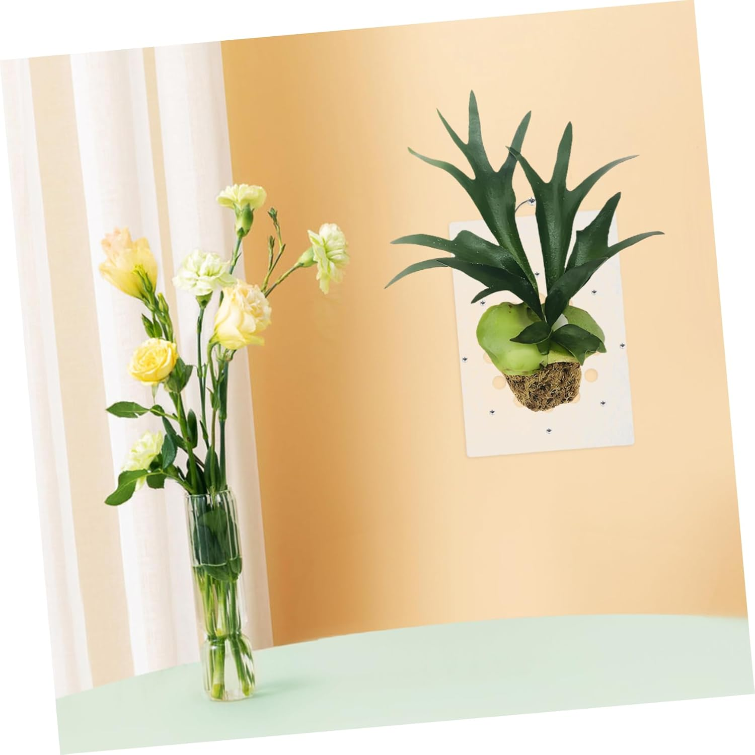 Mounted Plant Board Fern Board Vertical Planter Acrylic Wall Hanging Easy Install image number 3