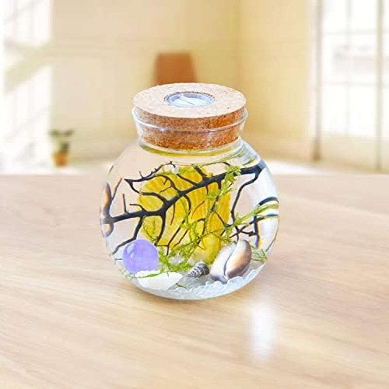 Aquarium Starter Kits Globe Fish Tank with LED Light Nightlight Lamps Mini Aquarium Kit with Java Moss (Style I)&hellip;