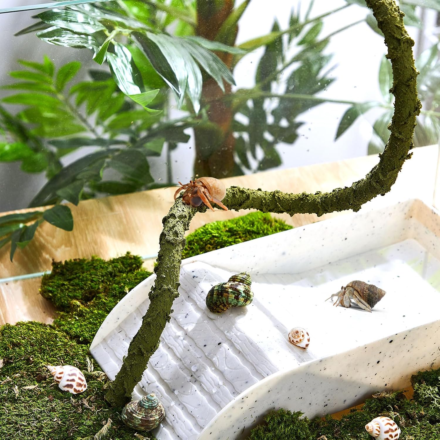 Poen Hermit Crab Climbing Toy - Bendable Reptile Vine - Artificial Jungle Vine - Hermit Crab Tank Accessories - Terrarium Habitat Decor image number 4