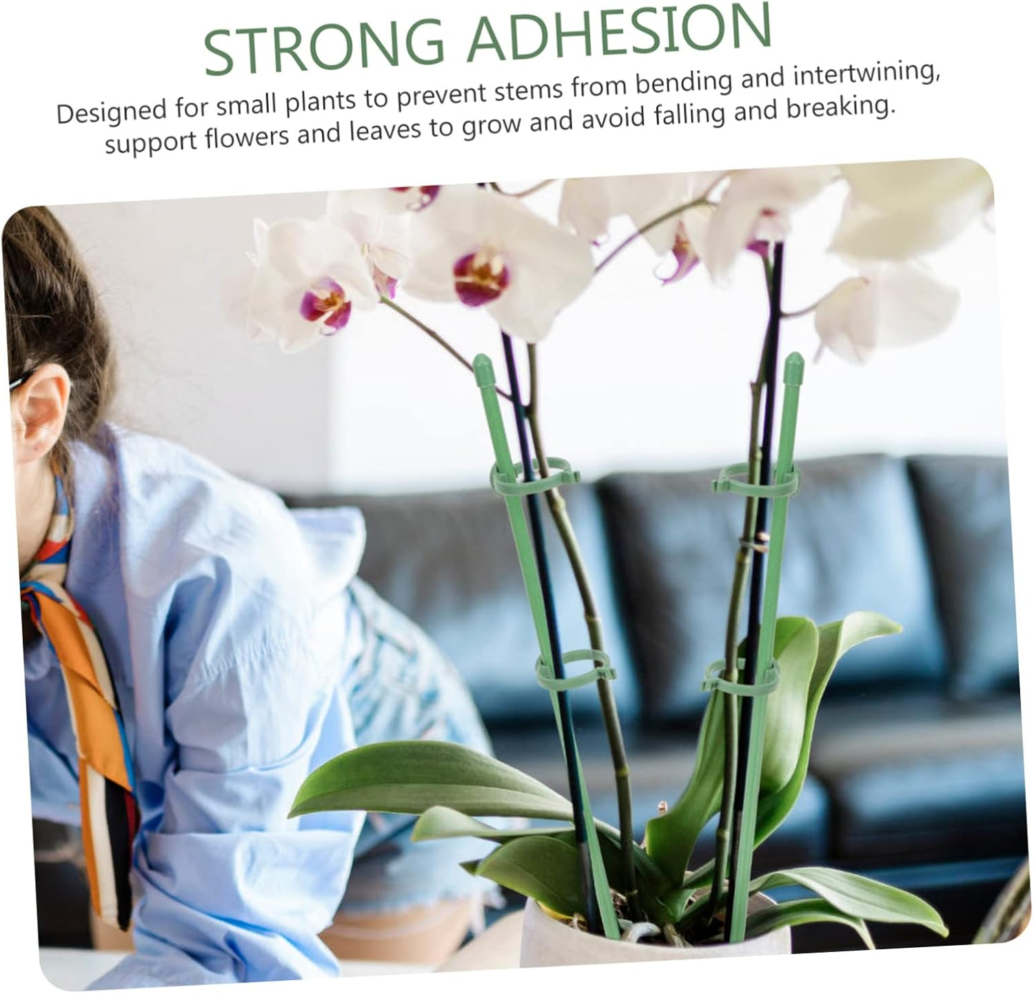 Toddmomy 10Pcs Orchid Support Sticks Plant Training Stakes for Climbing Adjustable Buckle Garden Flower Support Stakes Fiberglass Plastic image number 1