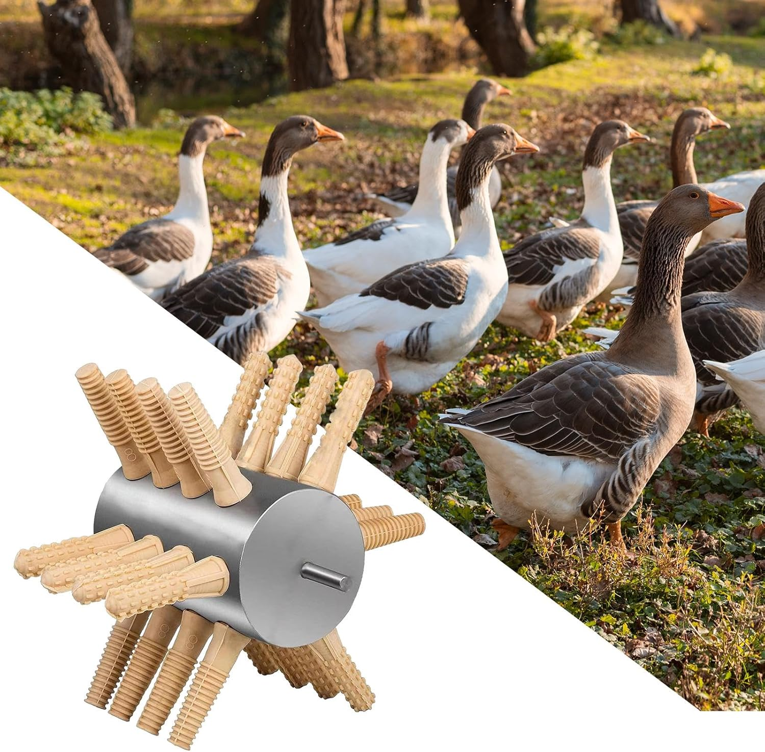 Leefasy Farm Chicken Plucker Poultry Feather Removal Practical Bird Defeathering Labor Saving for Poultry Duck Goose, 24 Fingers Large image number 6