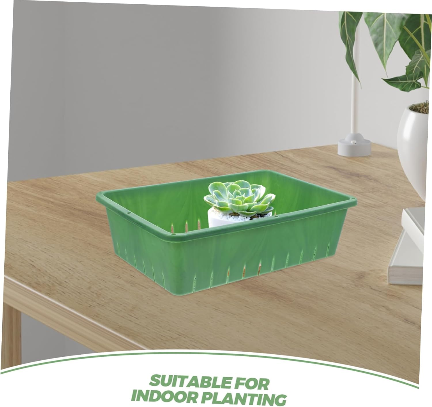 CAXUSD Seedling Tray and Planter Tray for Indoor Gardening Small 26&times;18&times;7Cm Plastic Nursery Supply Breathable Design with Proper Air Circulation 2Pcs Green Rectangular Seedling for Seed image number 3